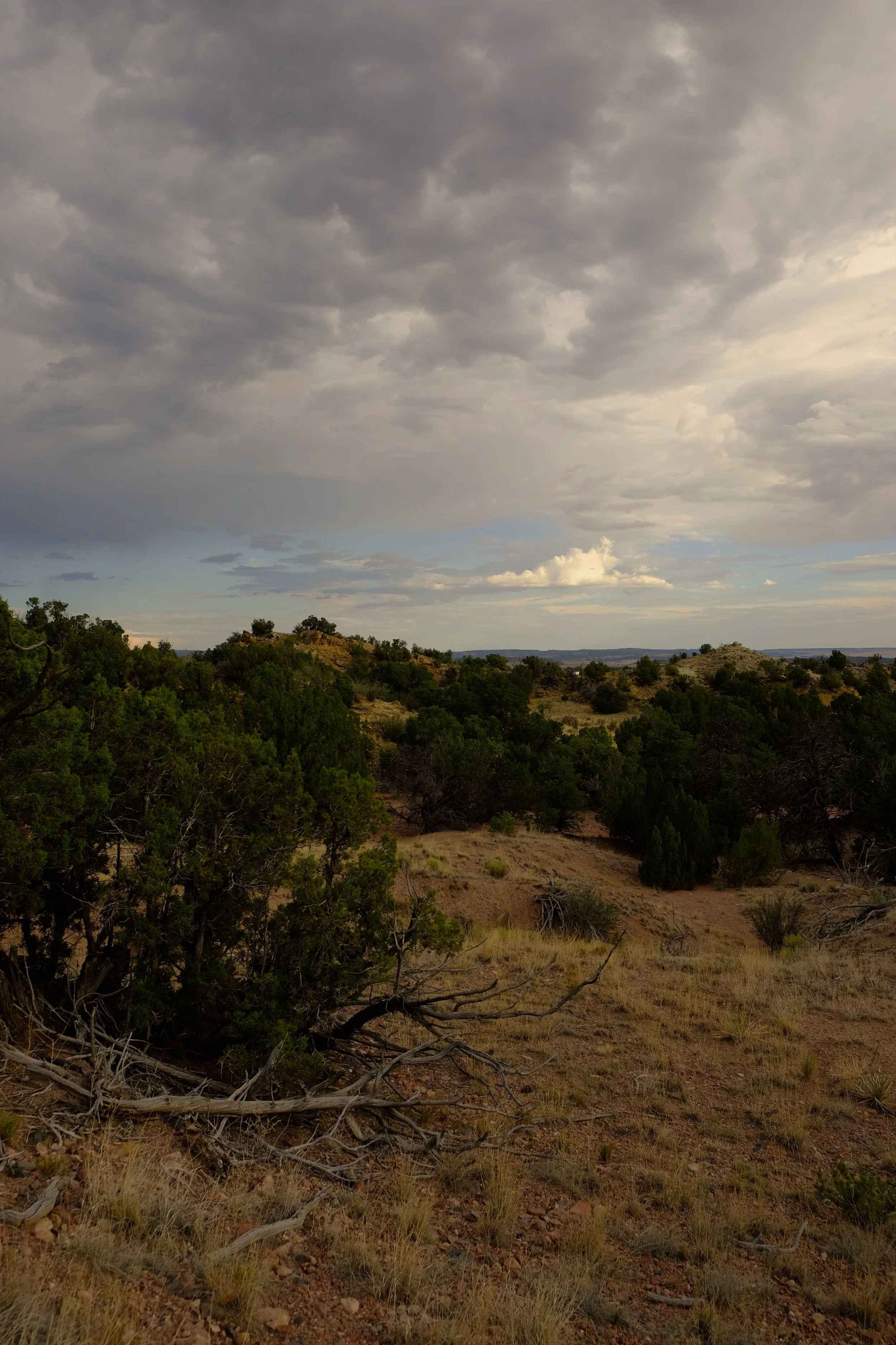 A scenic landscape of rolling hills with sparse trees under a cloudy sky, typical of a semi-arid region.