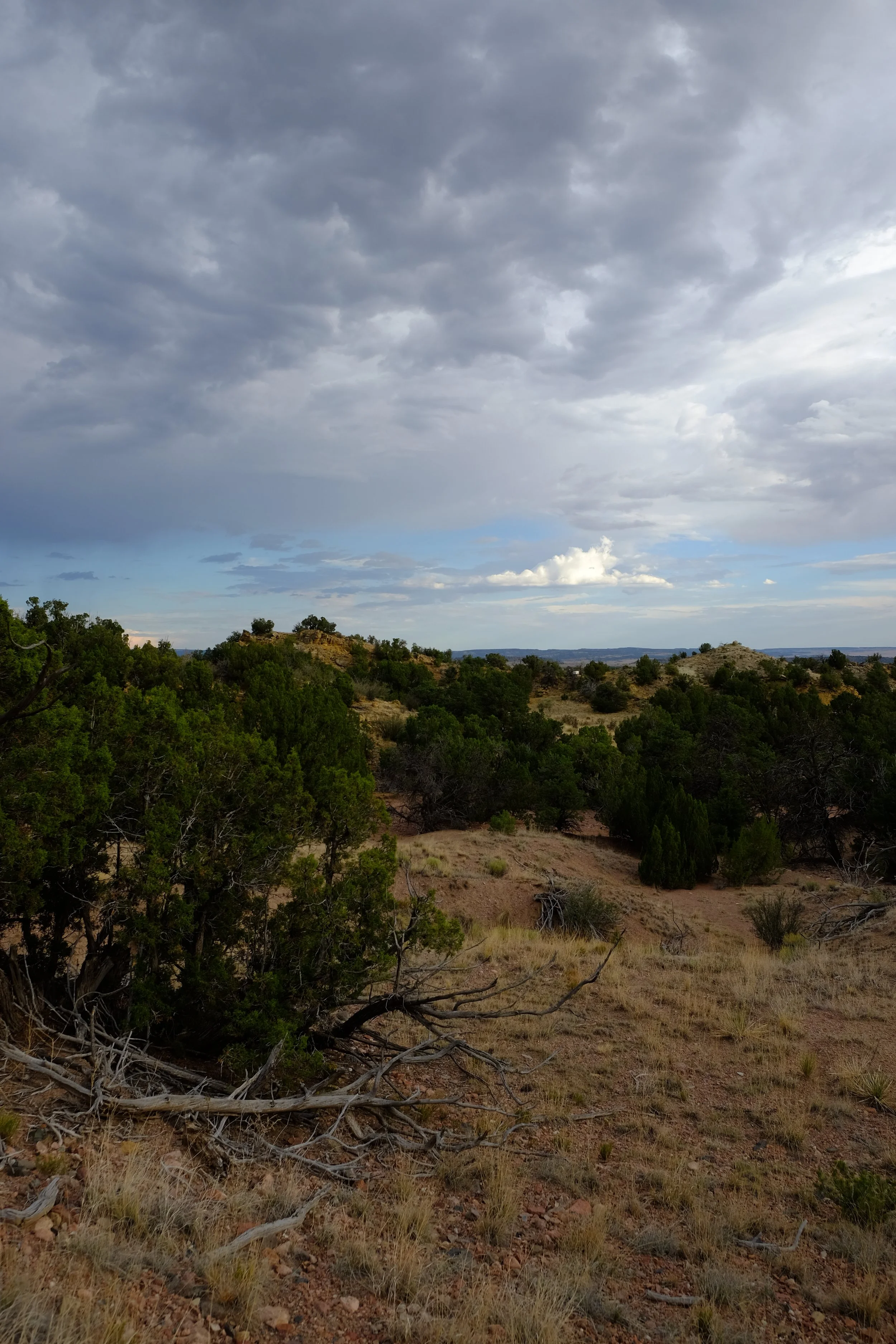 Watercolor: A High Desert Workshop