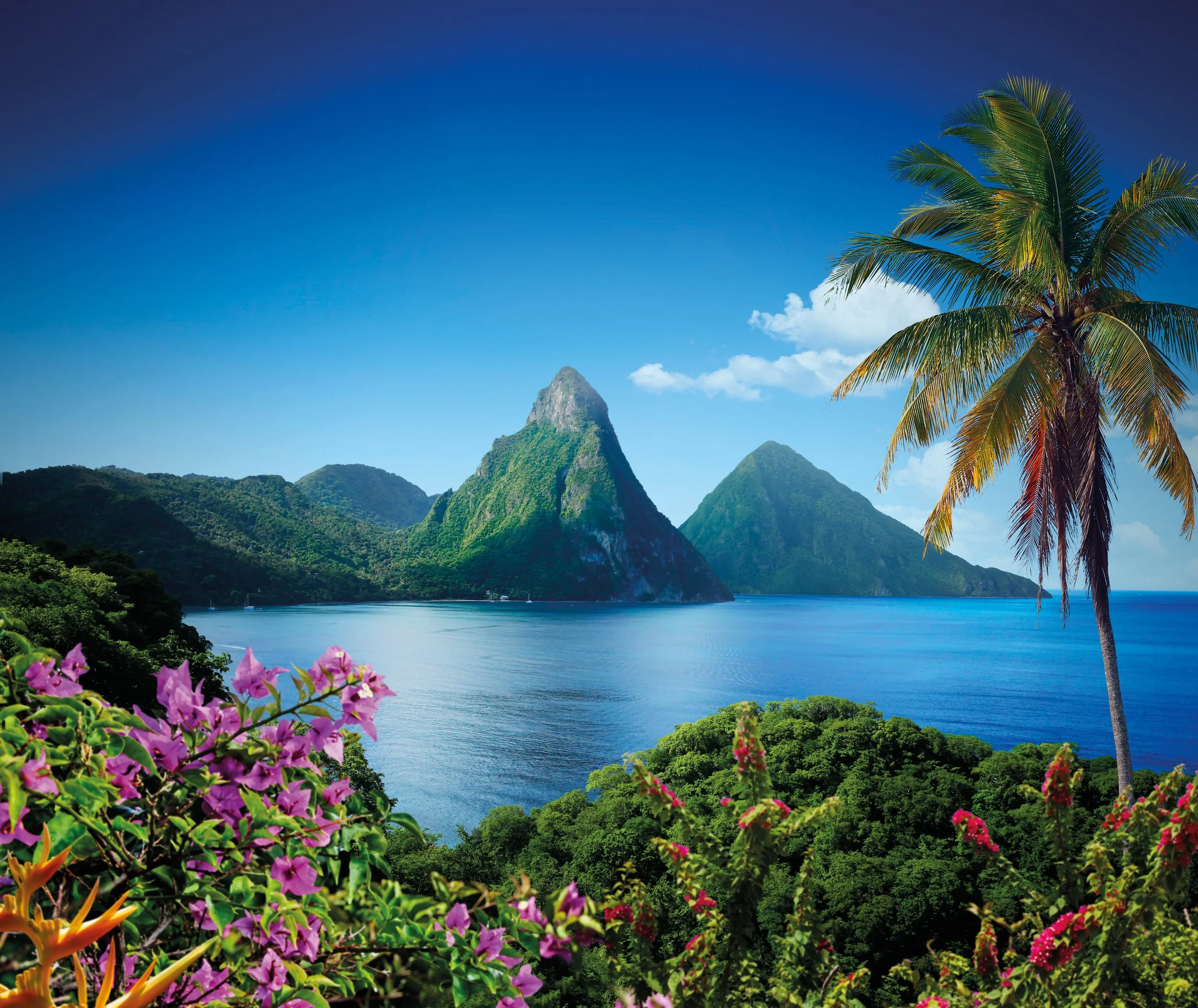 Hiking The Pitons St Lucia Simply Caribbean hiking-the-pitons-st-lucia-simply-caribbean