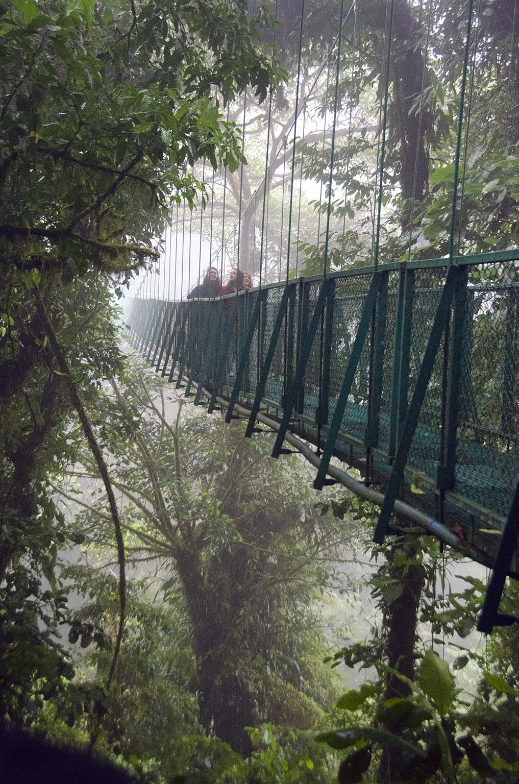 Monteverde Cloud Forest_01_P.jpg