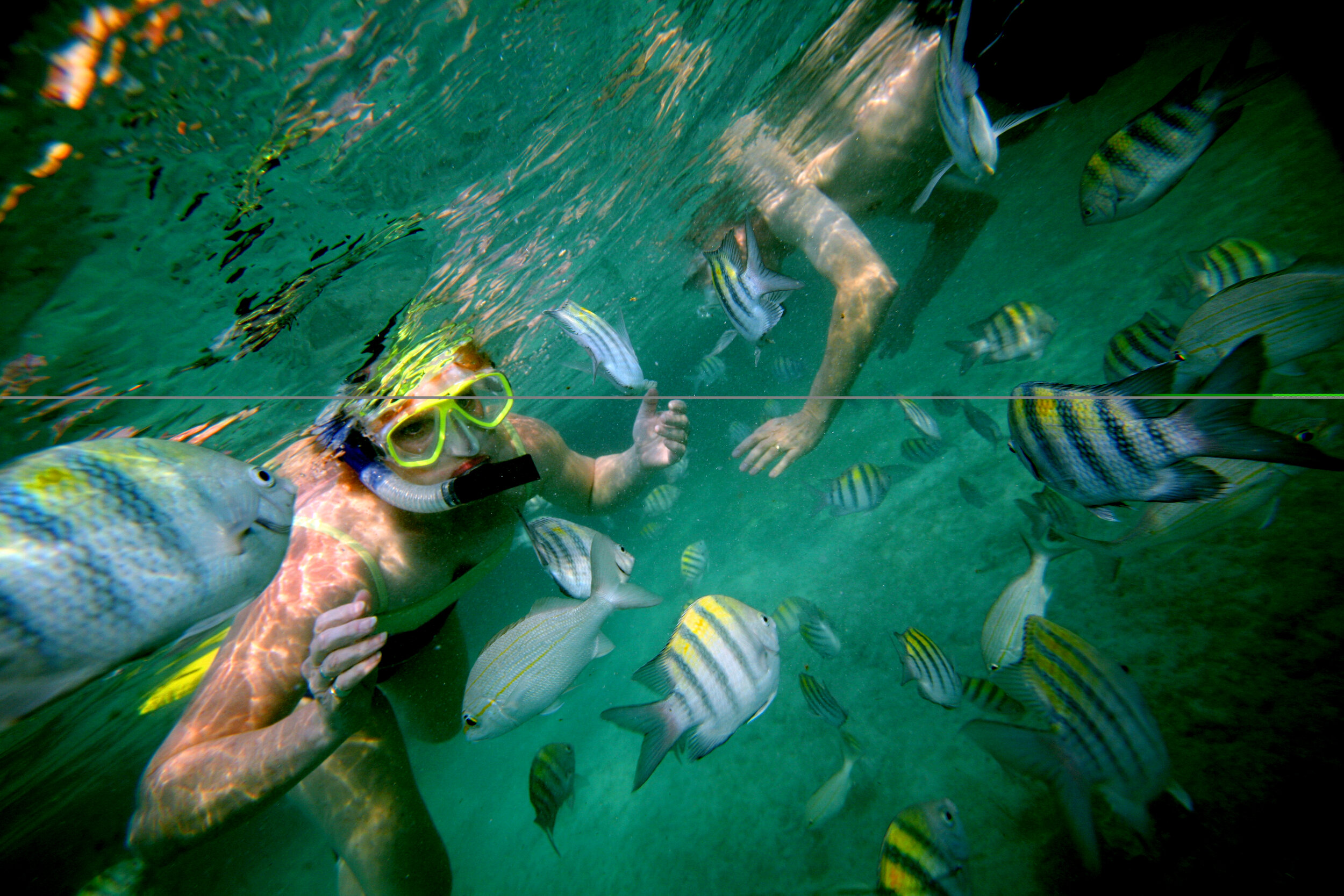 Colourful snorkelling Bahamas