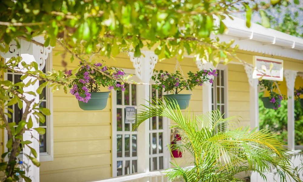 Coco Palm Spa.jpg