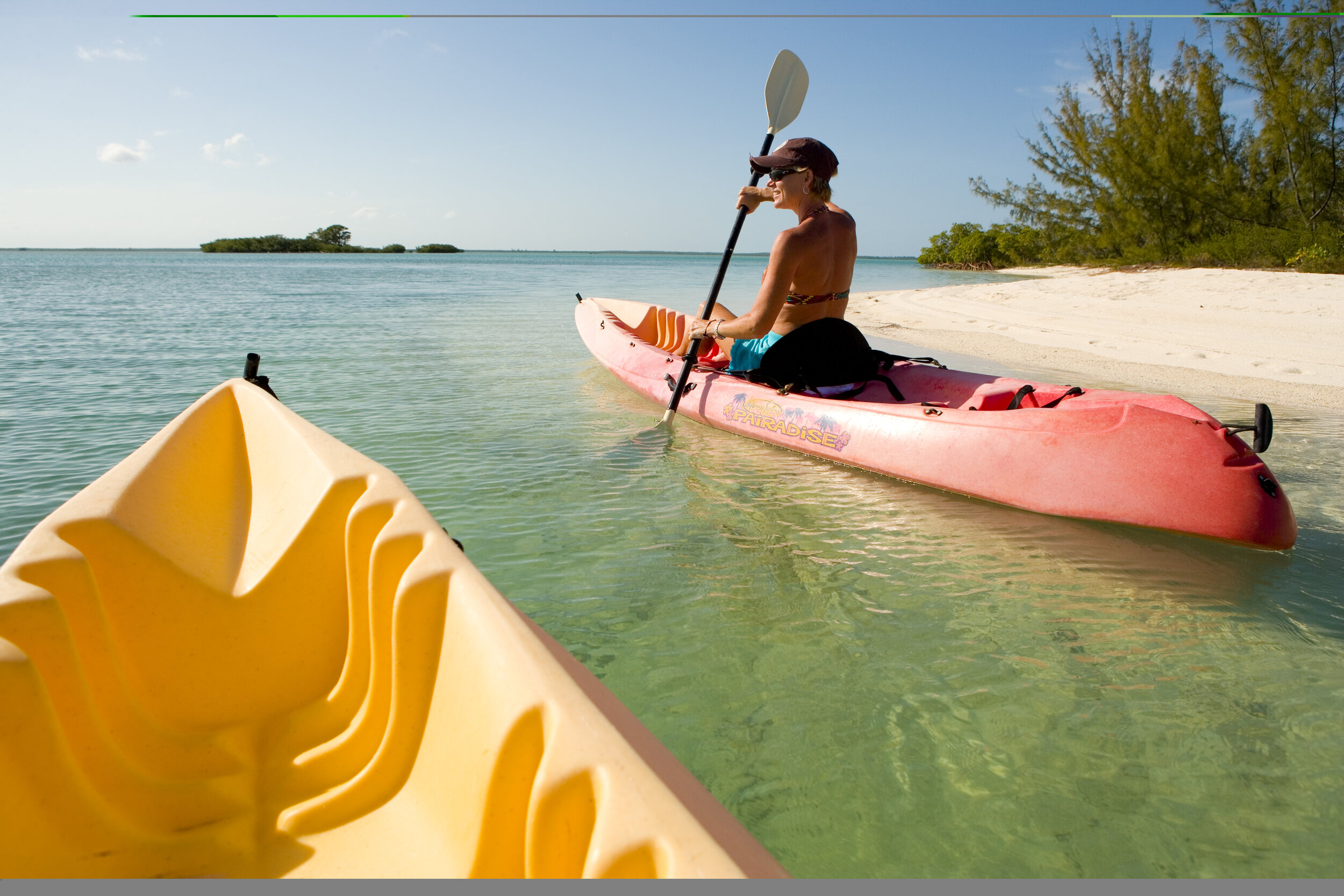 Mangrove kayaking Bahamas