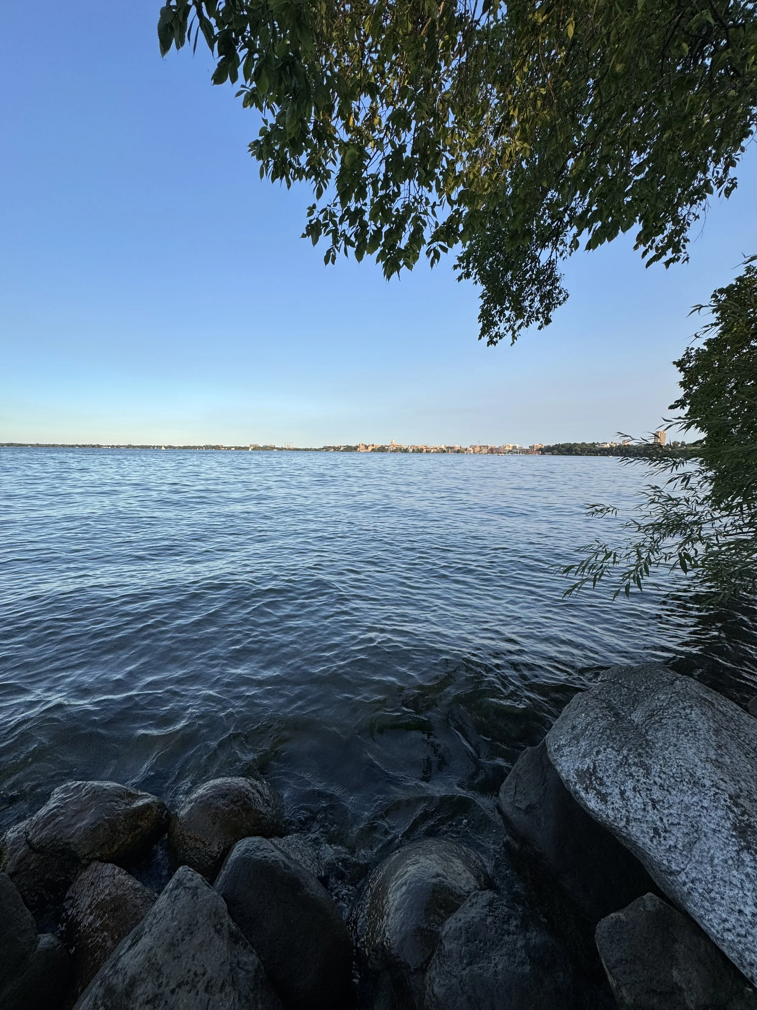 IMG_2199.jpeg