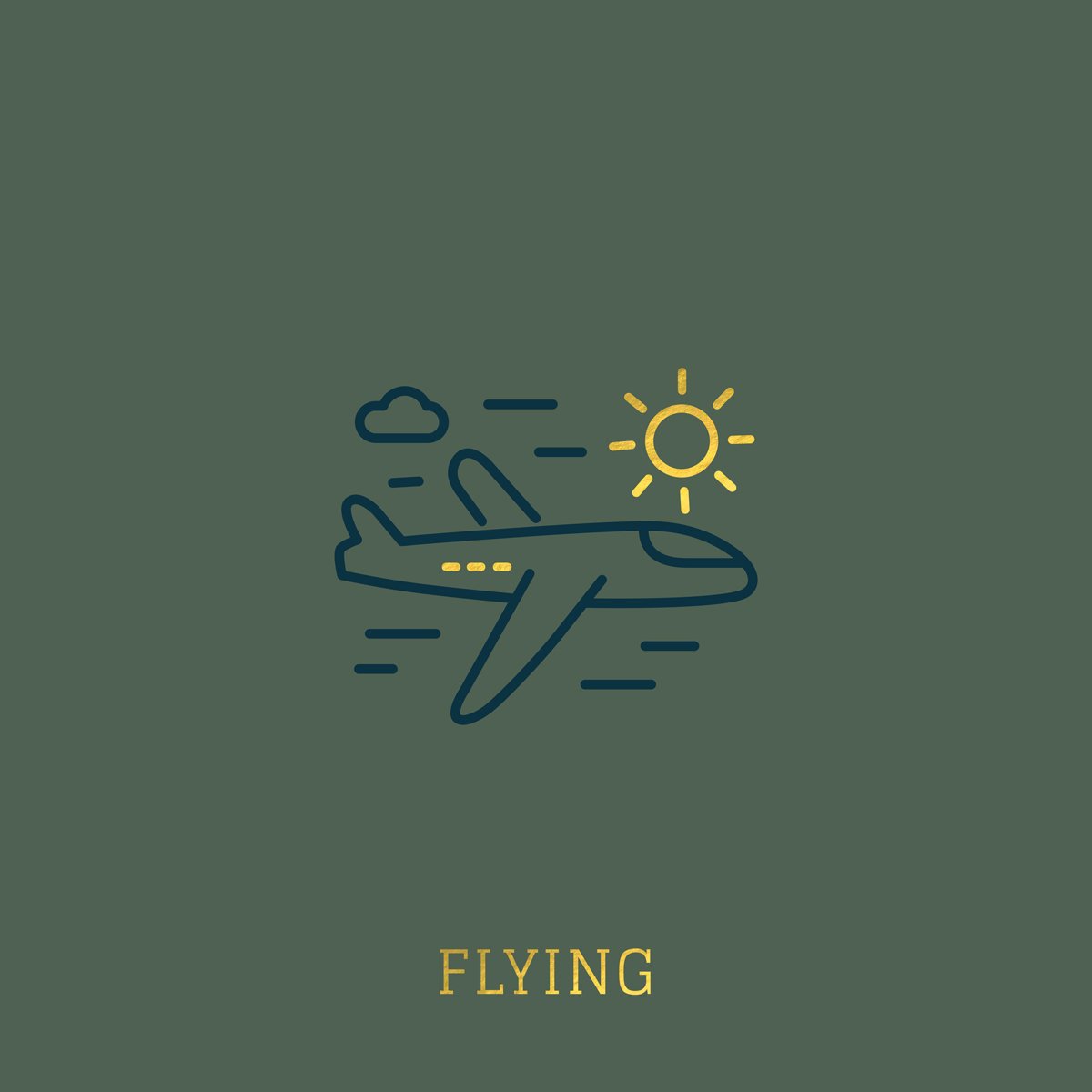 flying.jpg