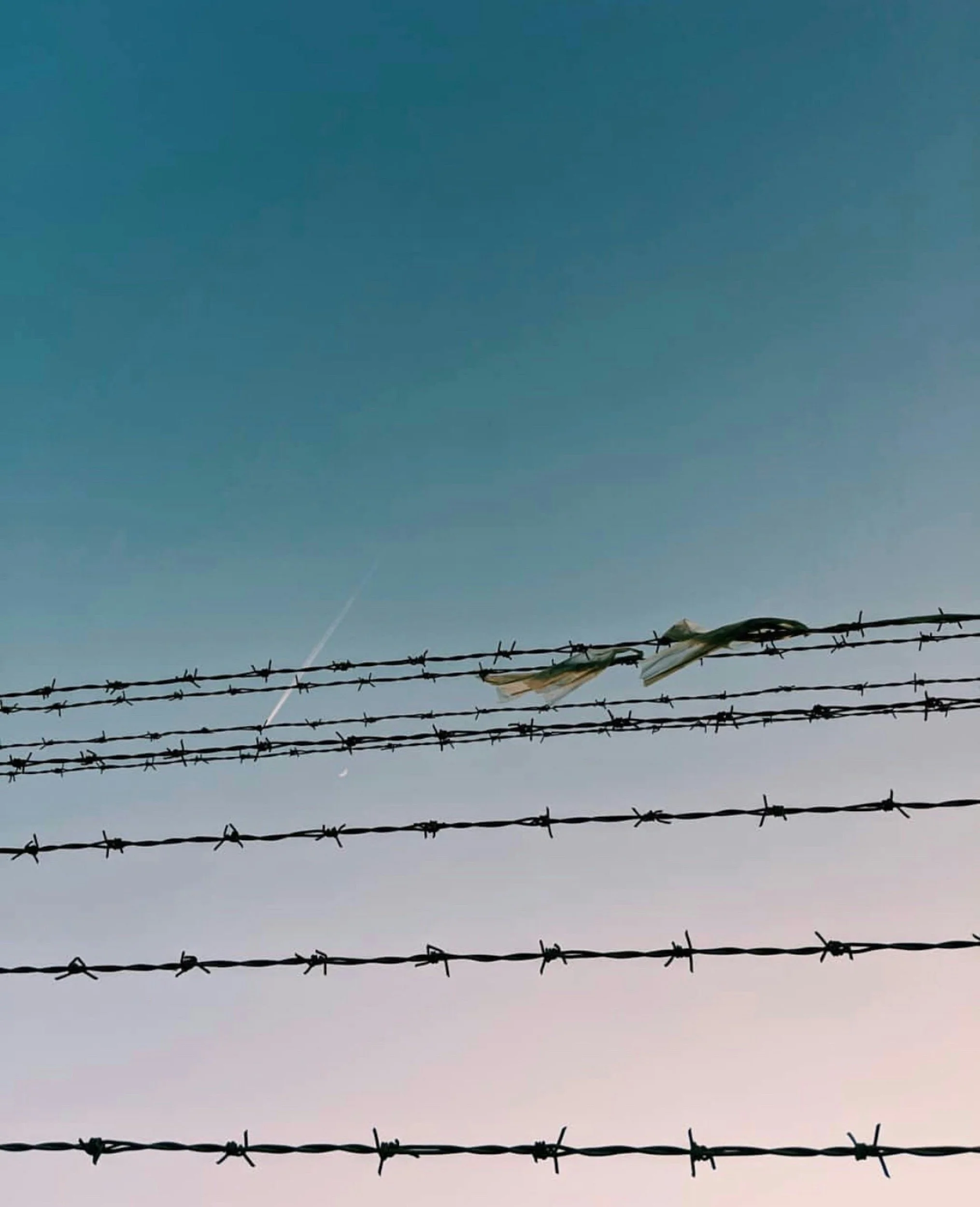 Barbed wire against the sky