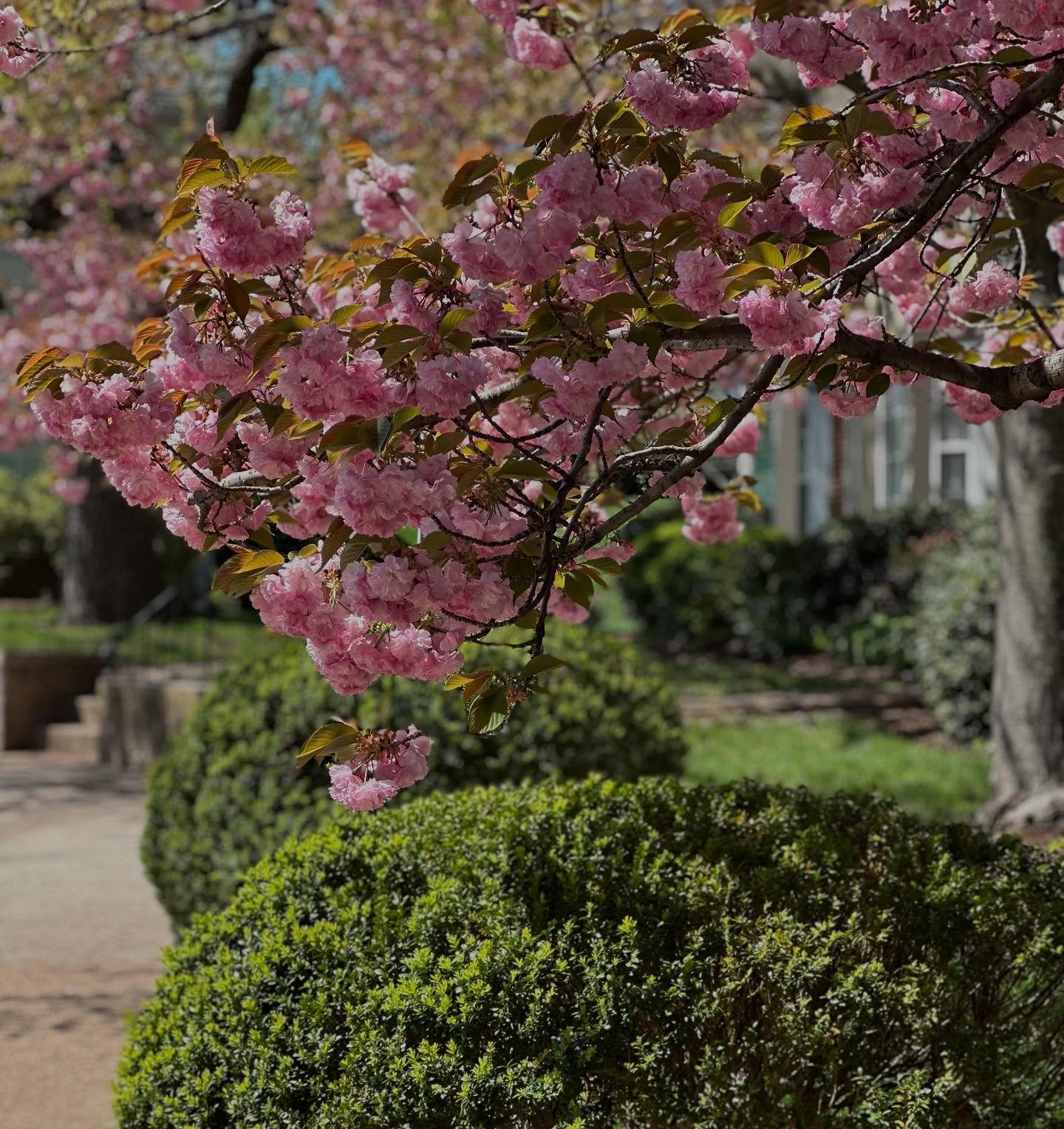 Beautiful day in the neighborhood