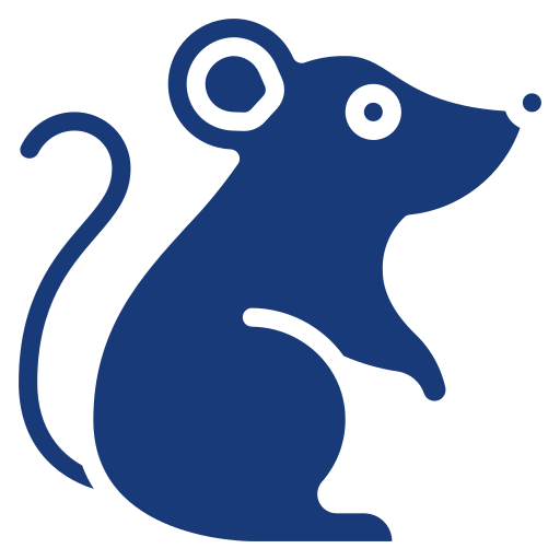 Zodiac Rat