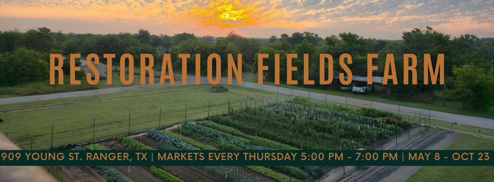 Restoration Fields Market