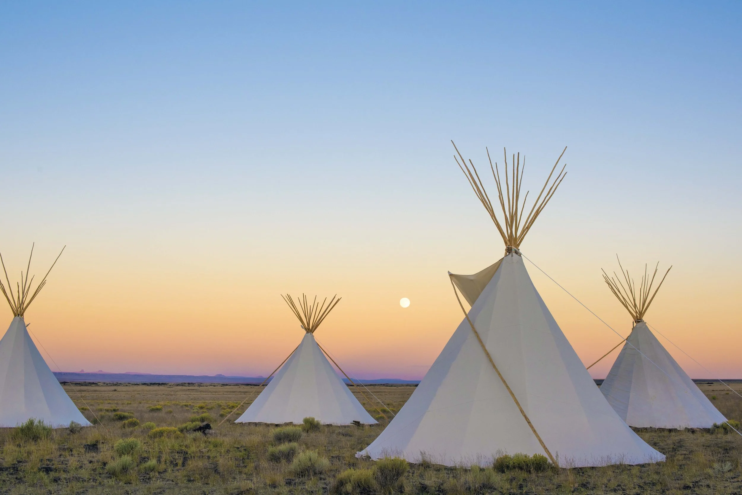 Four white teepees with wooden poles on a grassy plain during sunset, with the moon visible in the sky.