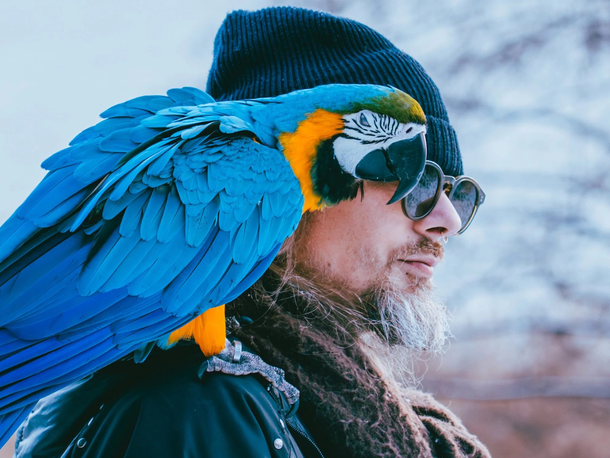 DSC00538 - Copy_cr.jpg