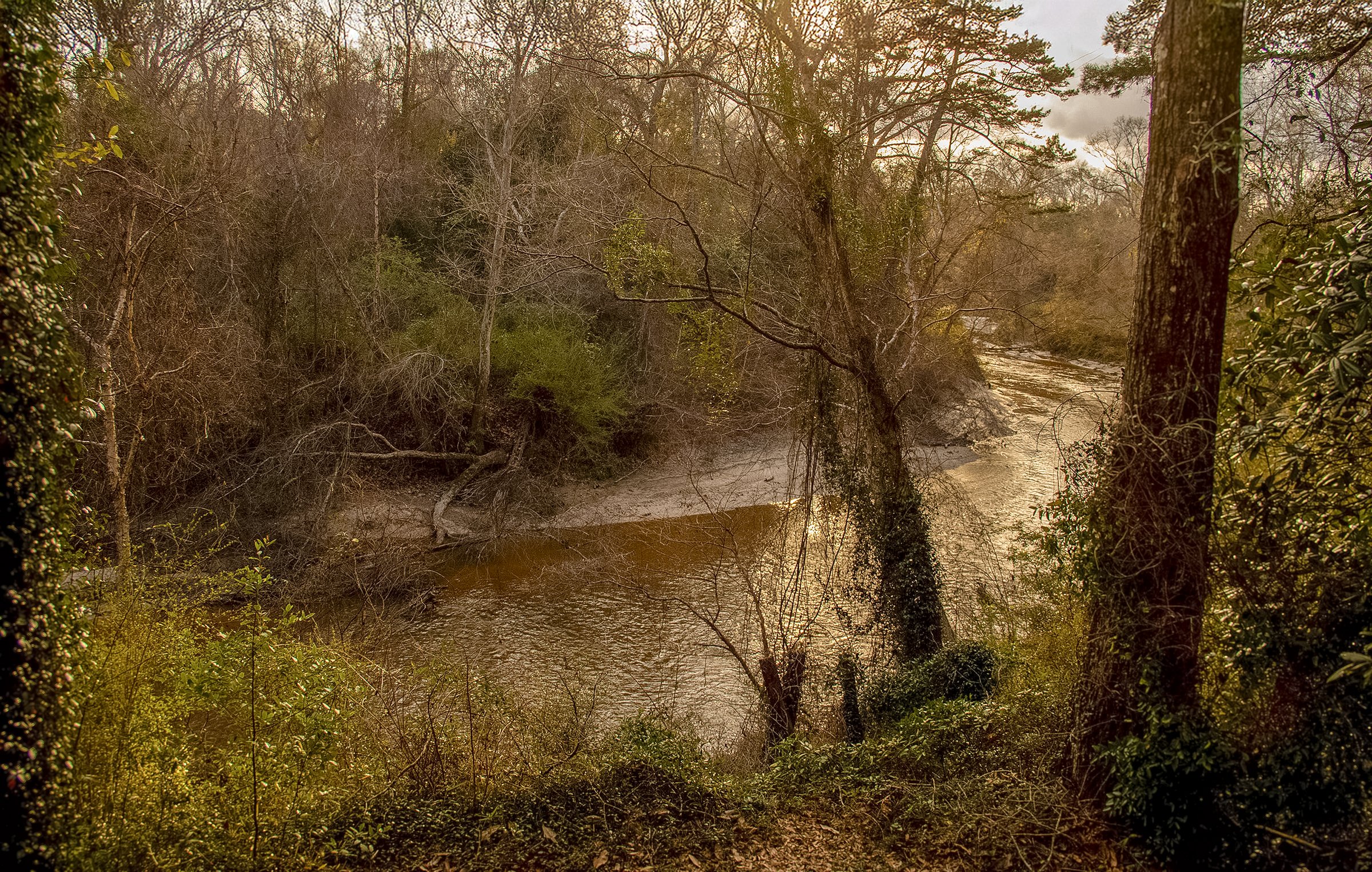 Lee_Cristina_Creek on Moose Trail Road_004 .jpg