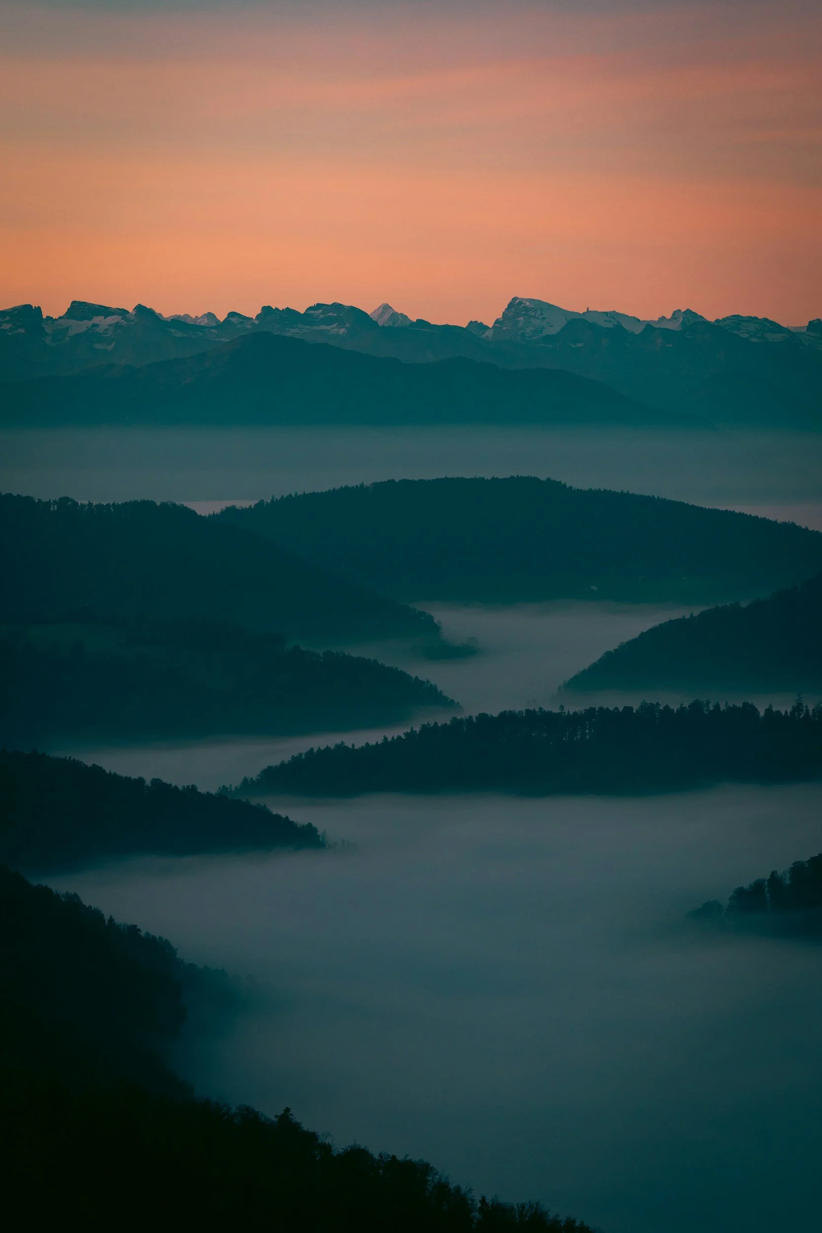 unsplash-image-GZyXnyOeC-o.jpg