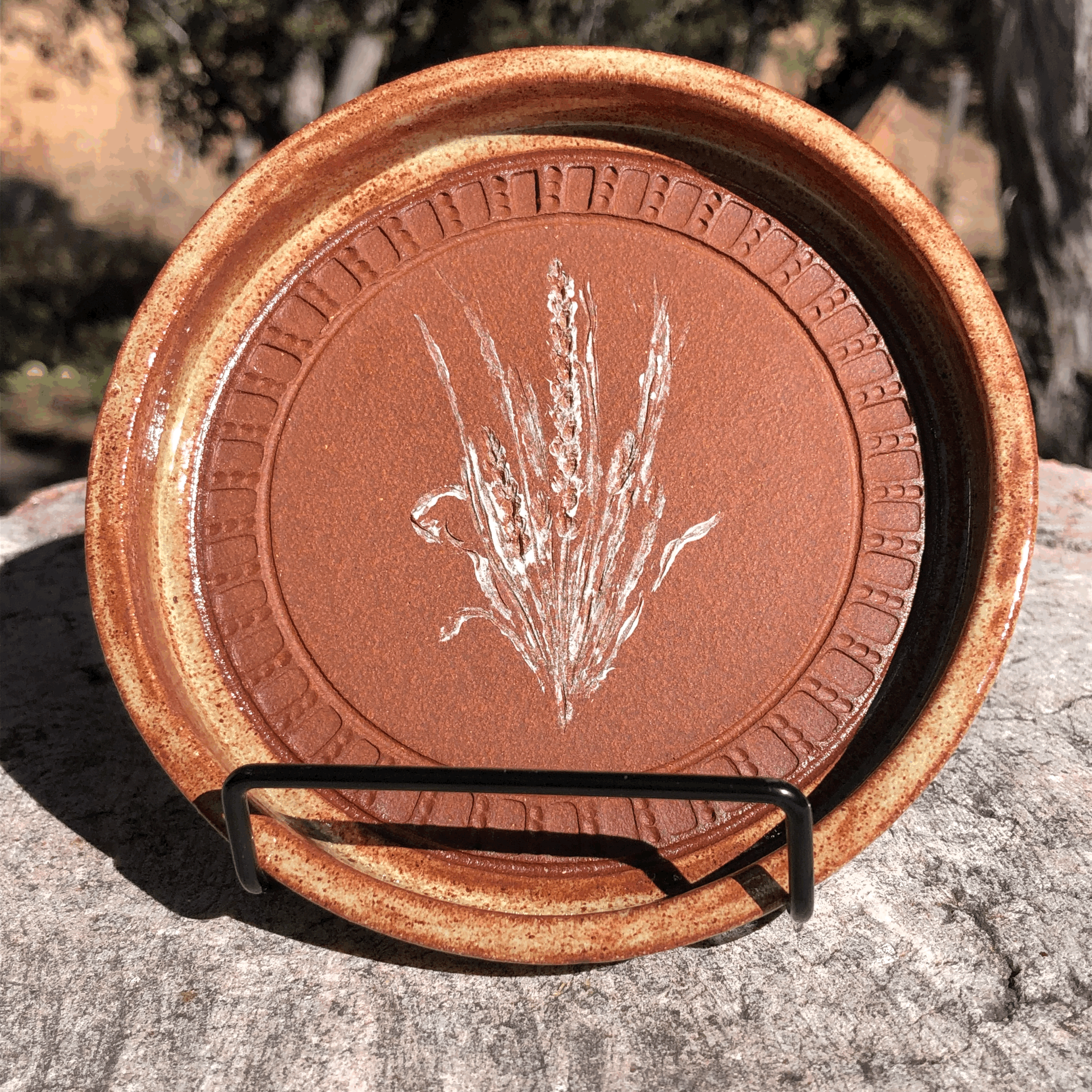 New Mexico Wild Tray