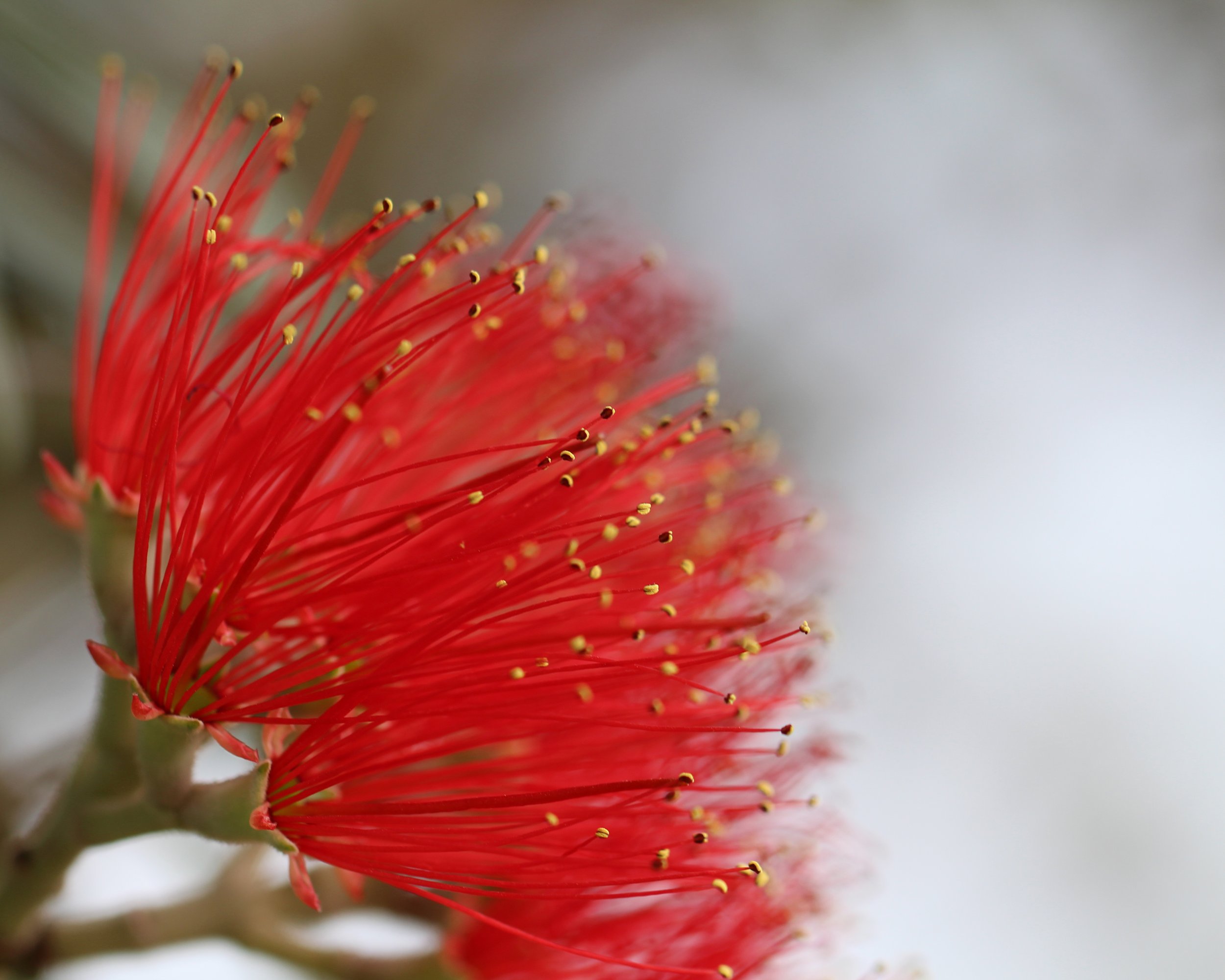 Christmas Day Service | 9.30am 25th Dec 