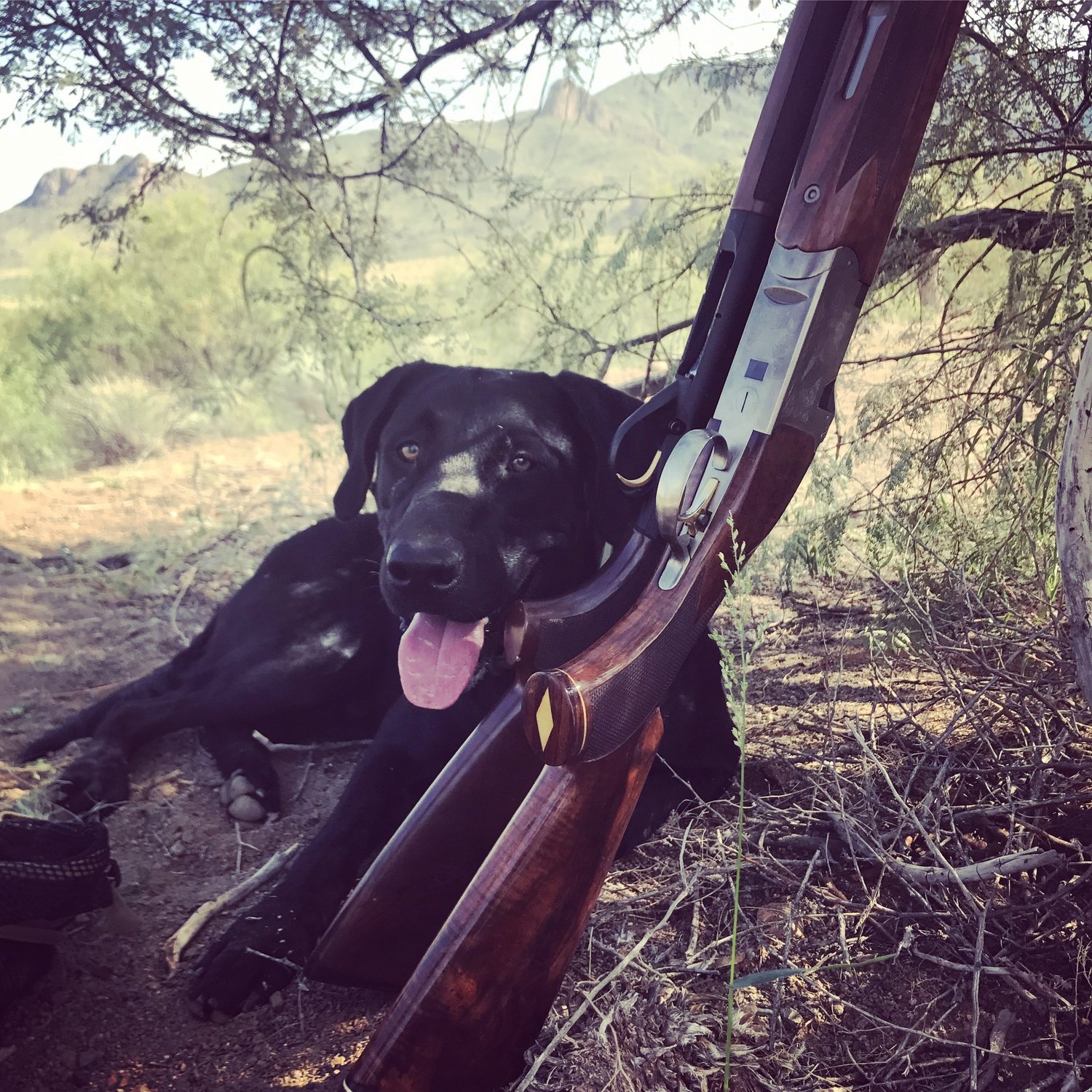 Episode 22: Scatterguns!