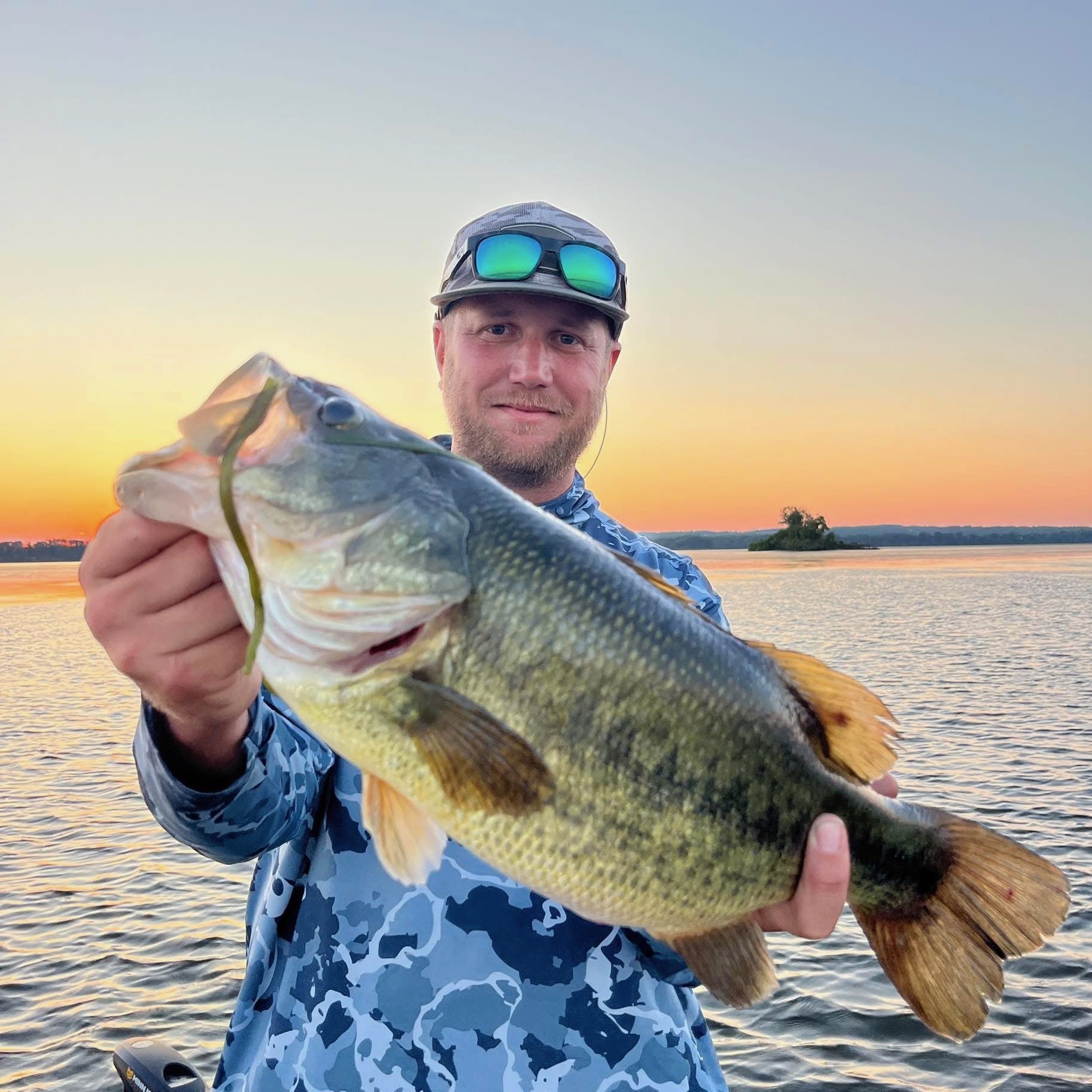Episode 37: The Bass Bug: From Snitz Creek to the Bassmaster Open