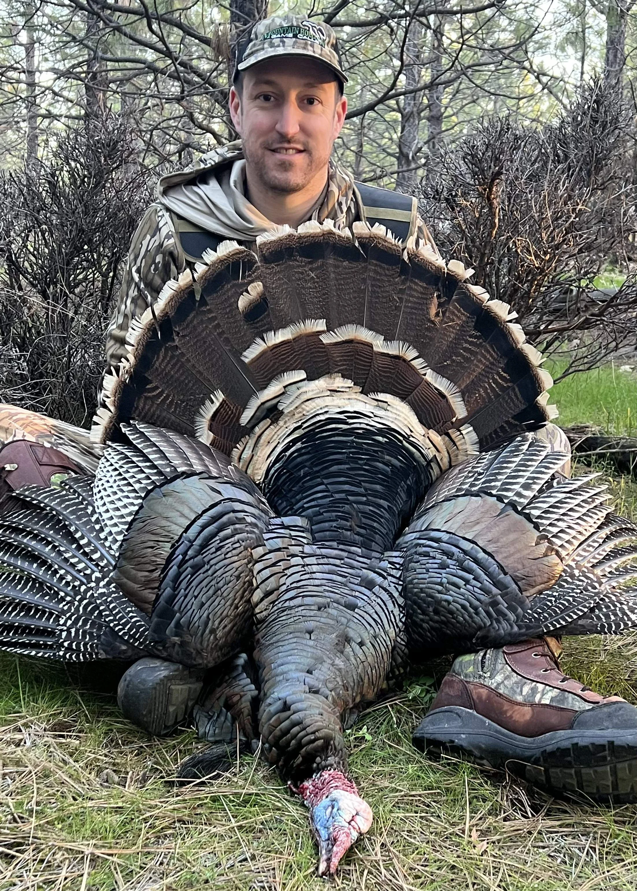 Episode 72: The Legend of Mountain Hollow