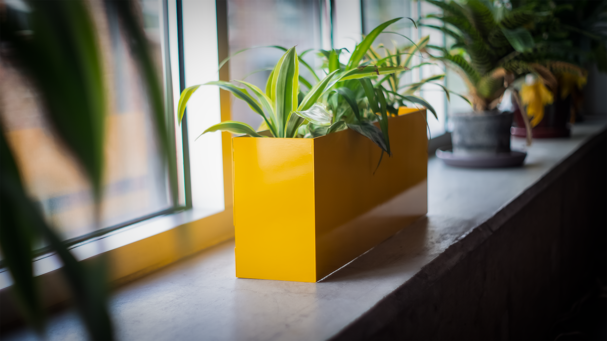 Yellow_ProductShots_2.png