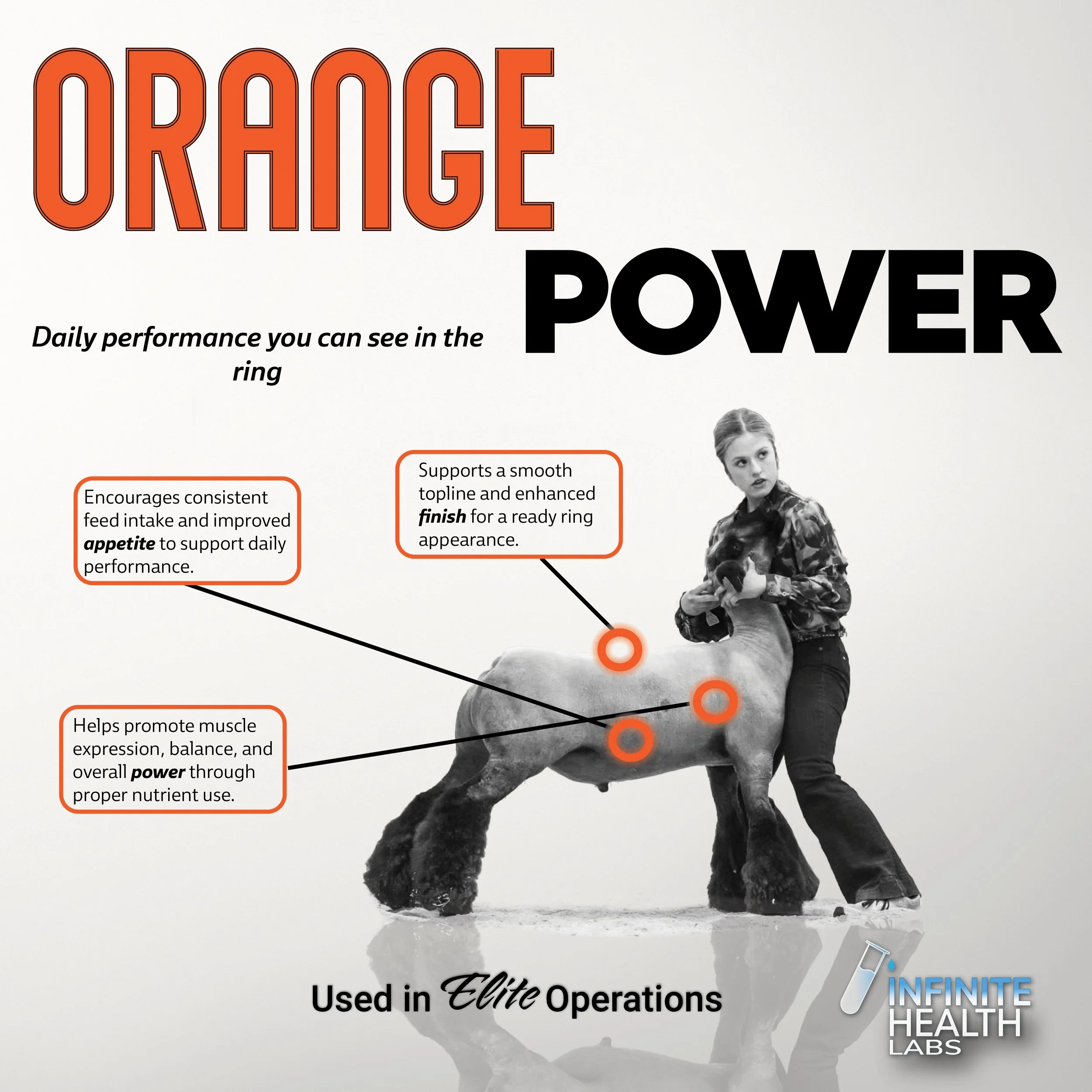 Orange_power_circle_power_appetitie_digital_posts.jpg