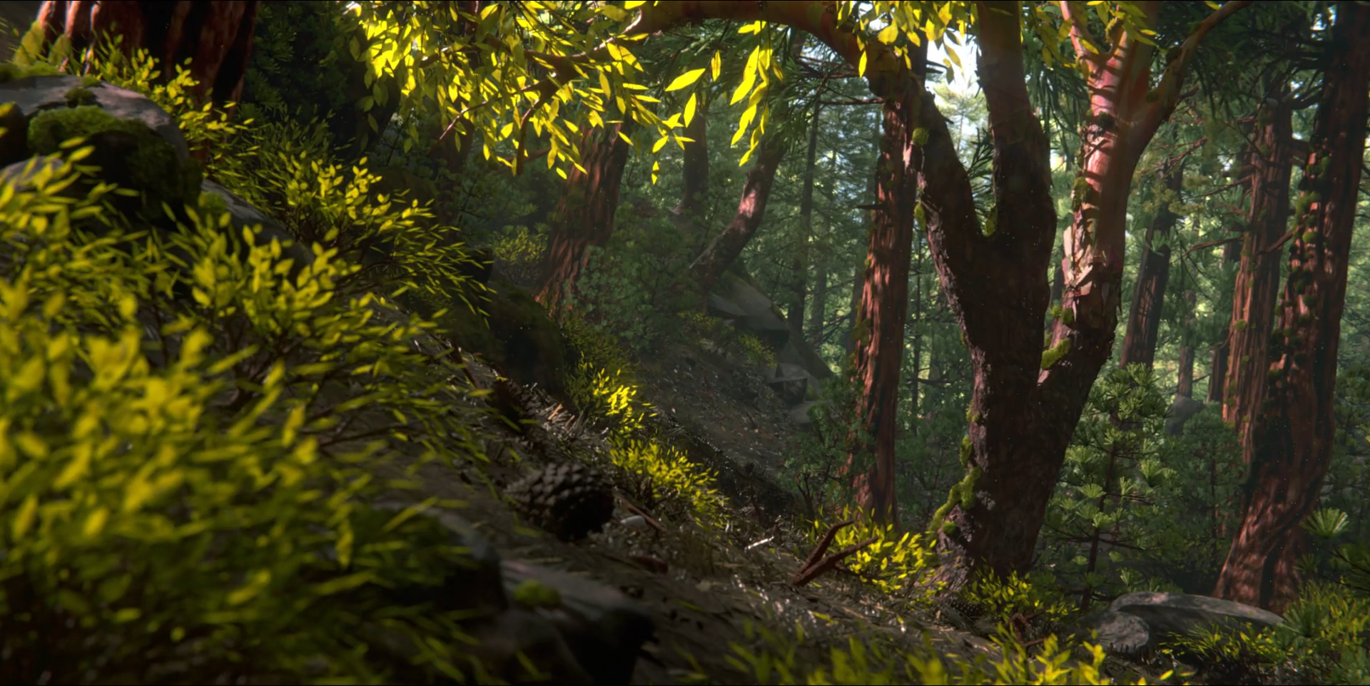 Redwoods.png