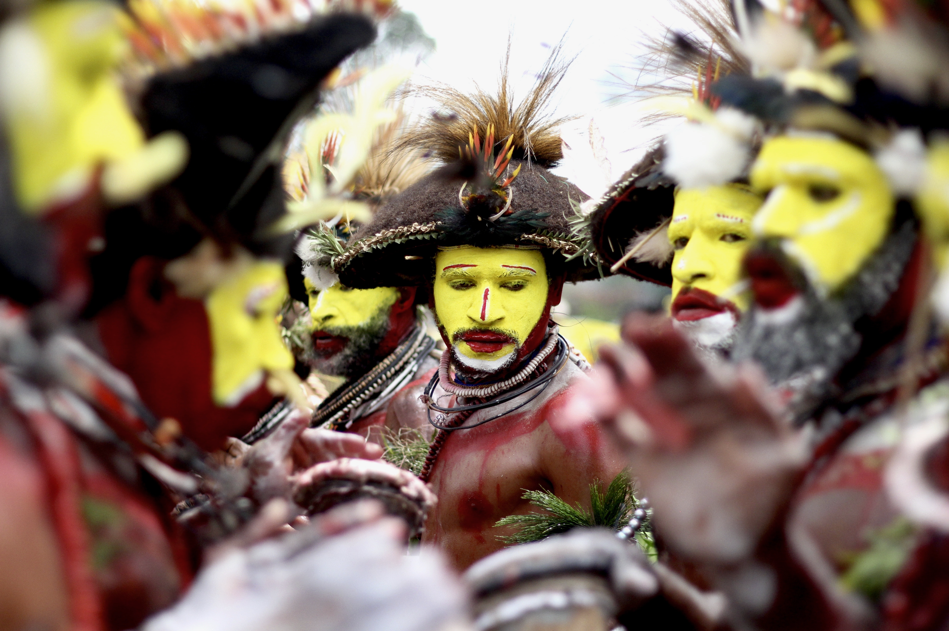 Huli Wigmen in Papua New Guinea wearing traditional bilas with painted yellow faces, ornate wigs made from human hair, and vibrant ceremonial attire during a cultural gathering.