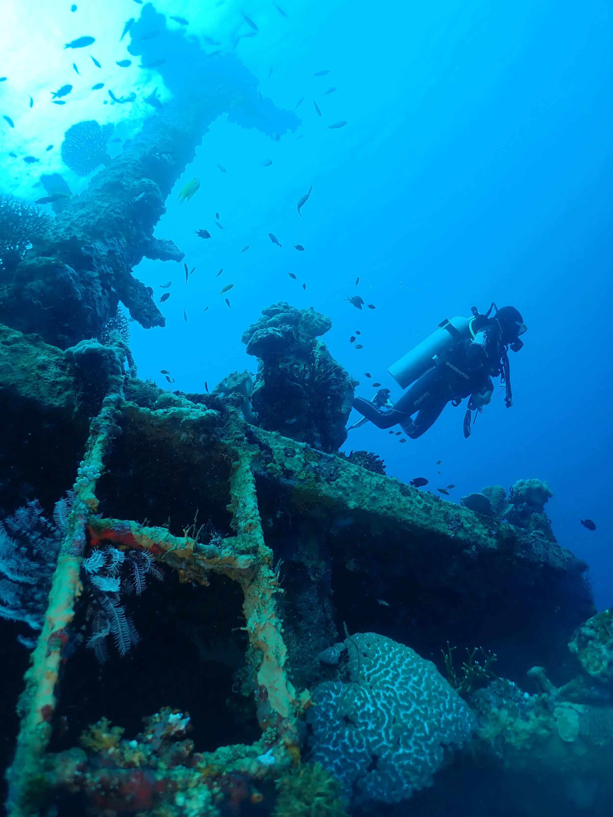 Underwater scenes from Papua New Guinea’s marine environments, including coral reefs, tropical fish, and dive experiences.