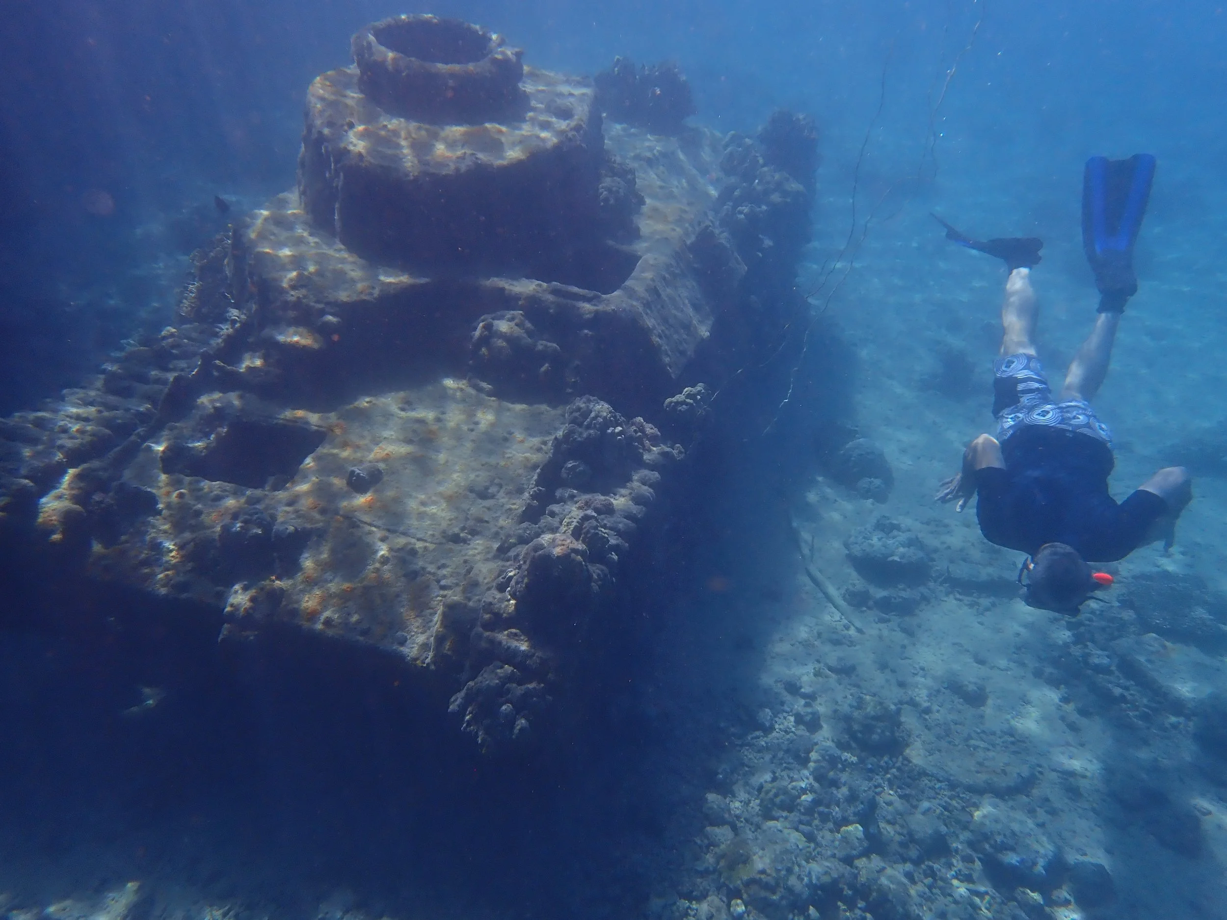 Underwater scenes from Papua New Guinea’s marine environments, including coral reefs, tropical fish, and dive experiences.
