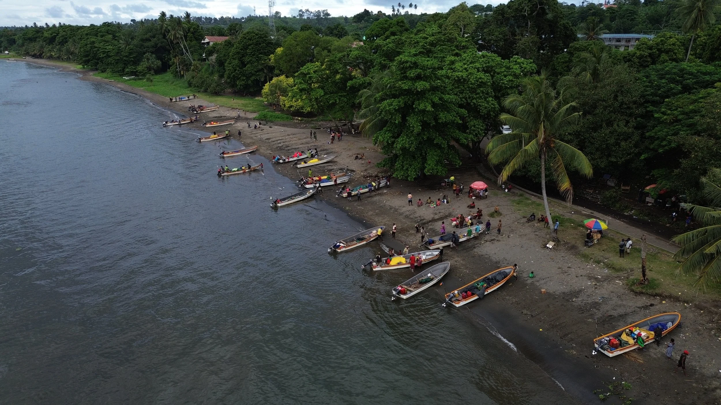 Scenic views from across Papua New Guinea, capturing tropical coastlines, lush landscapes, and tranquil waters.