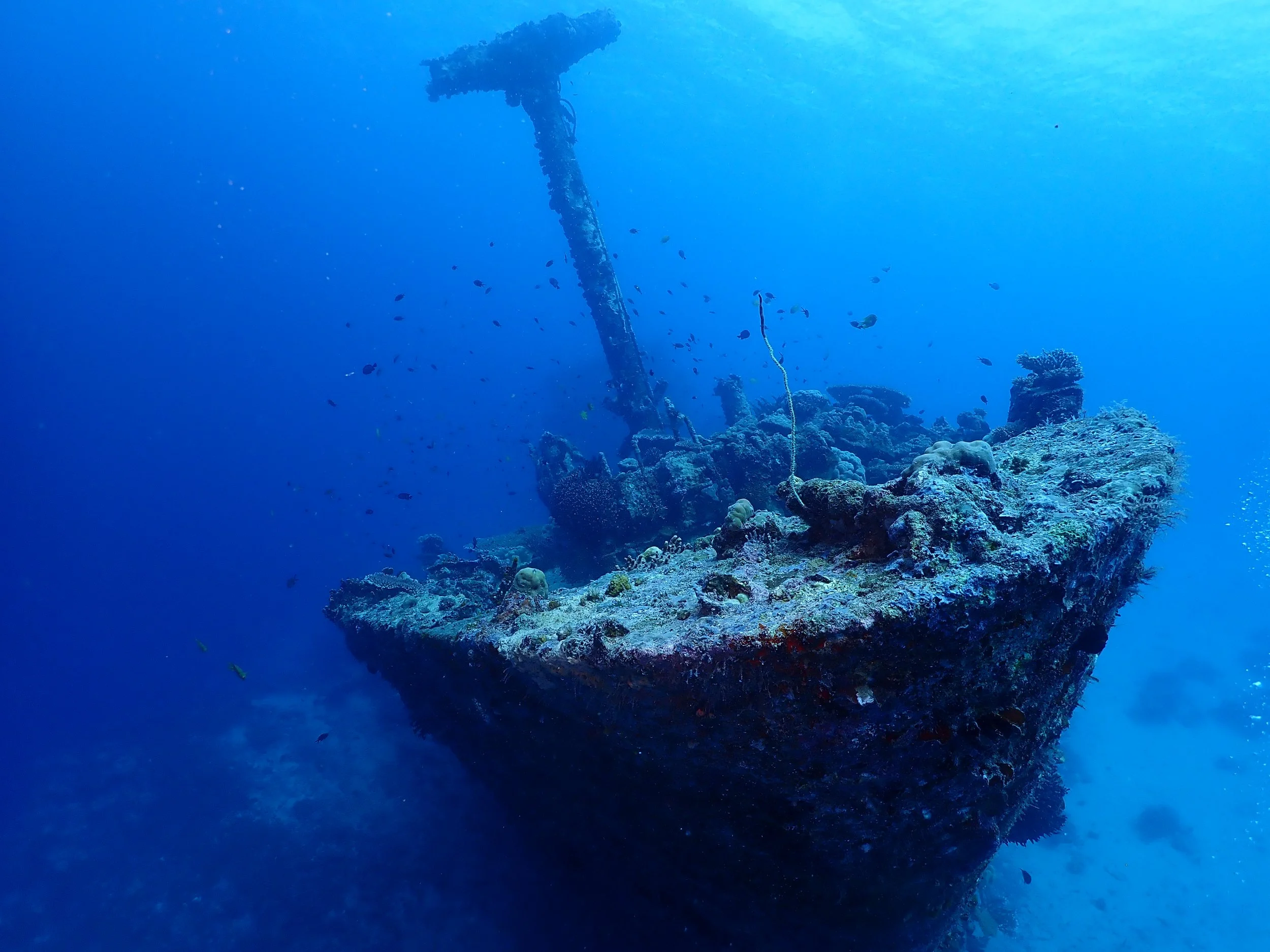 Underwater scenes from Papua New Guinea’s marine environments, including shipwrecks, coral reefs, tropical fish, and dive experiences. 