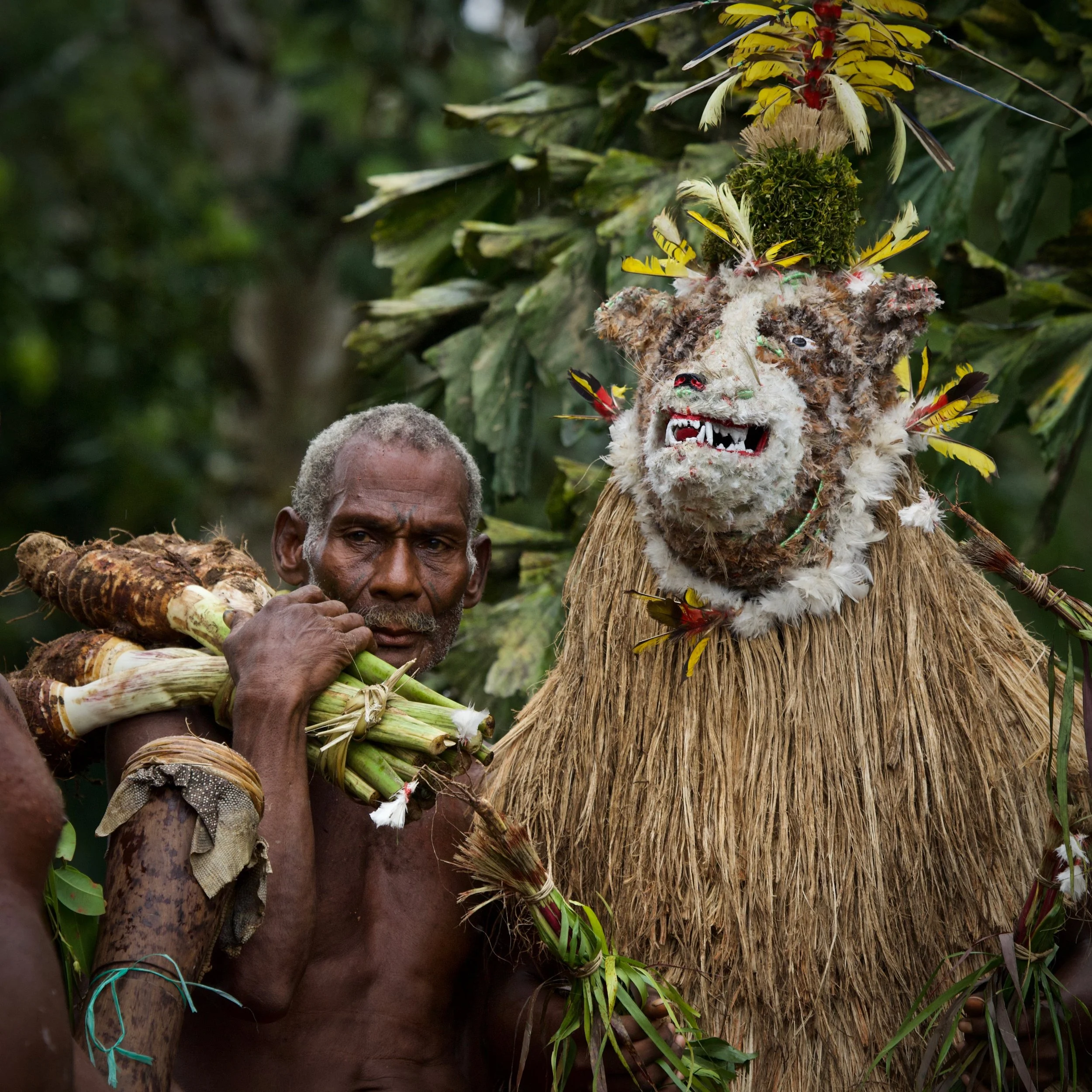 Portraits and candid moments of Papua New Guinea’s diverse cultures, featuring traditional dress, masks, and ceremonial performances.