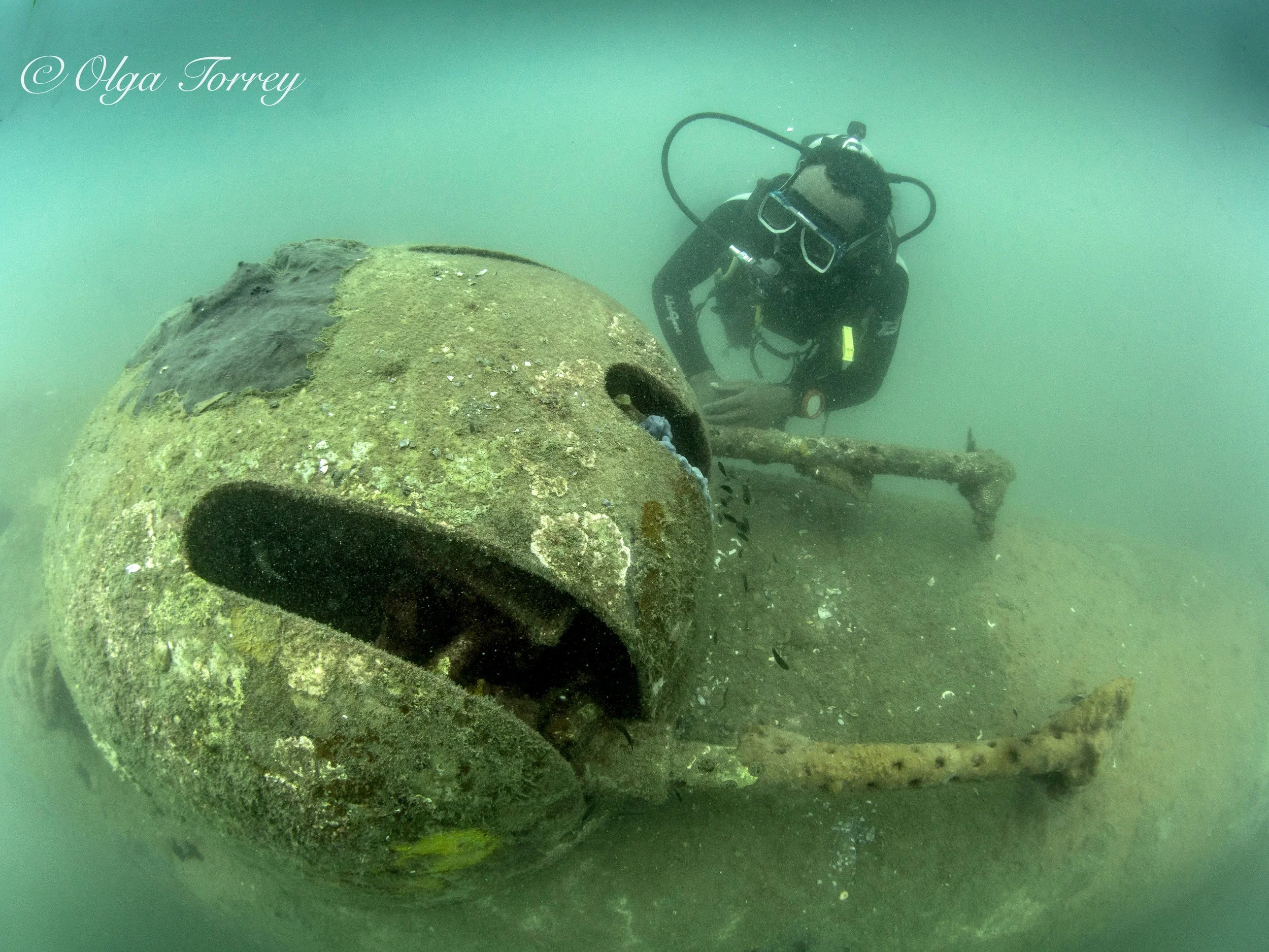 Underwater scenes from Papua New Guinea’s marine environments, including coral reefs, tropical fish, and dive experiences.
