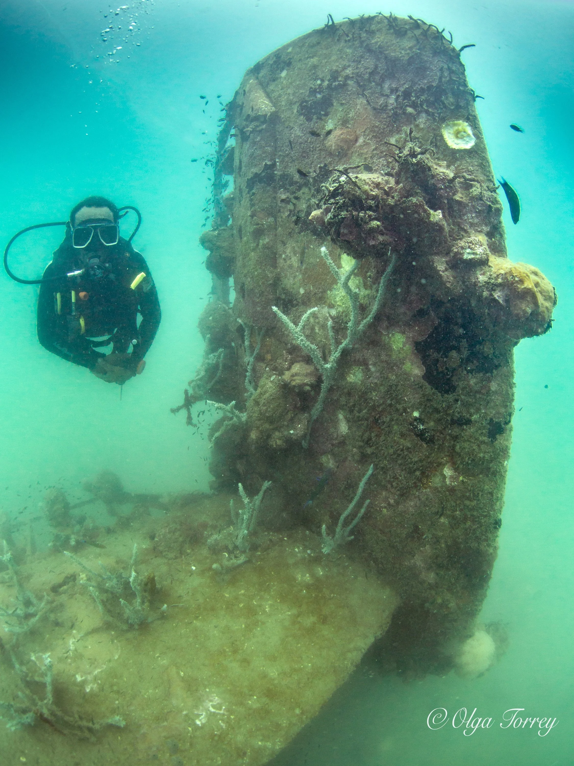 Underwater scenes from Papua New Guinea’s marine environments, including coral reefs, tropical fish, and dive experiences.