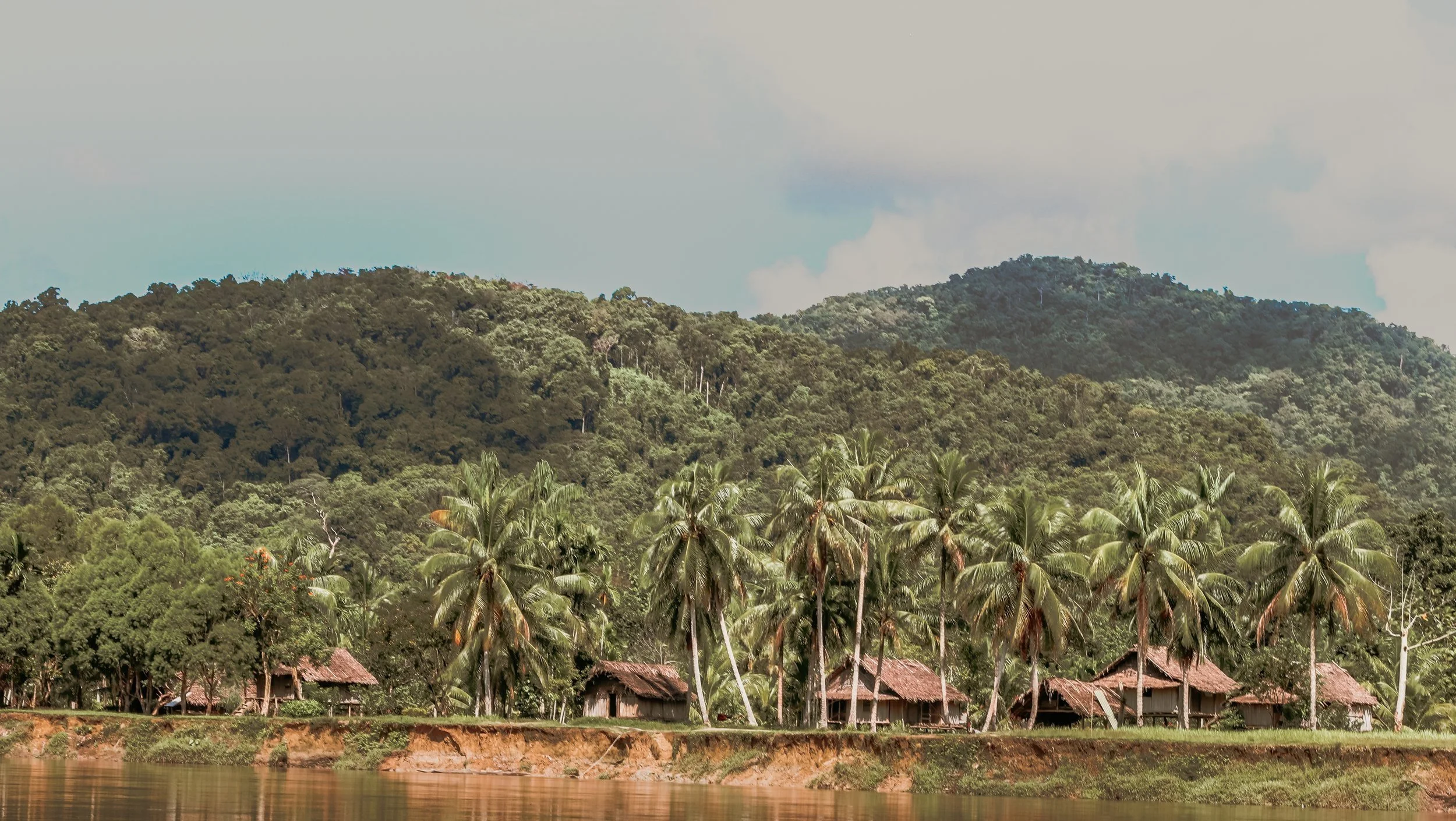 Traditional riverside huts surrounded by palm trees along the Sepik River in Papua New Guinea, with dense rainforest and rolling hills in the background