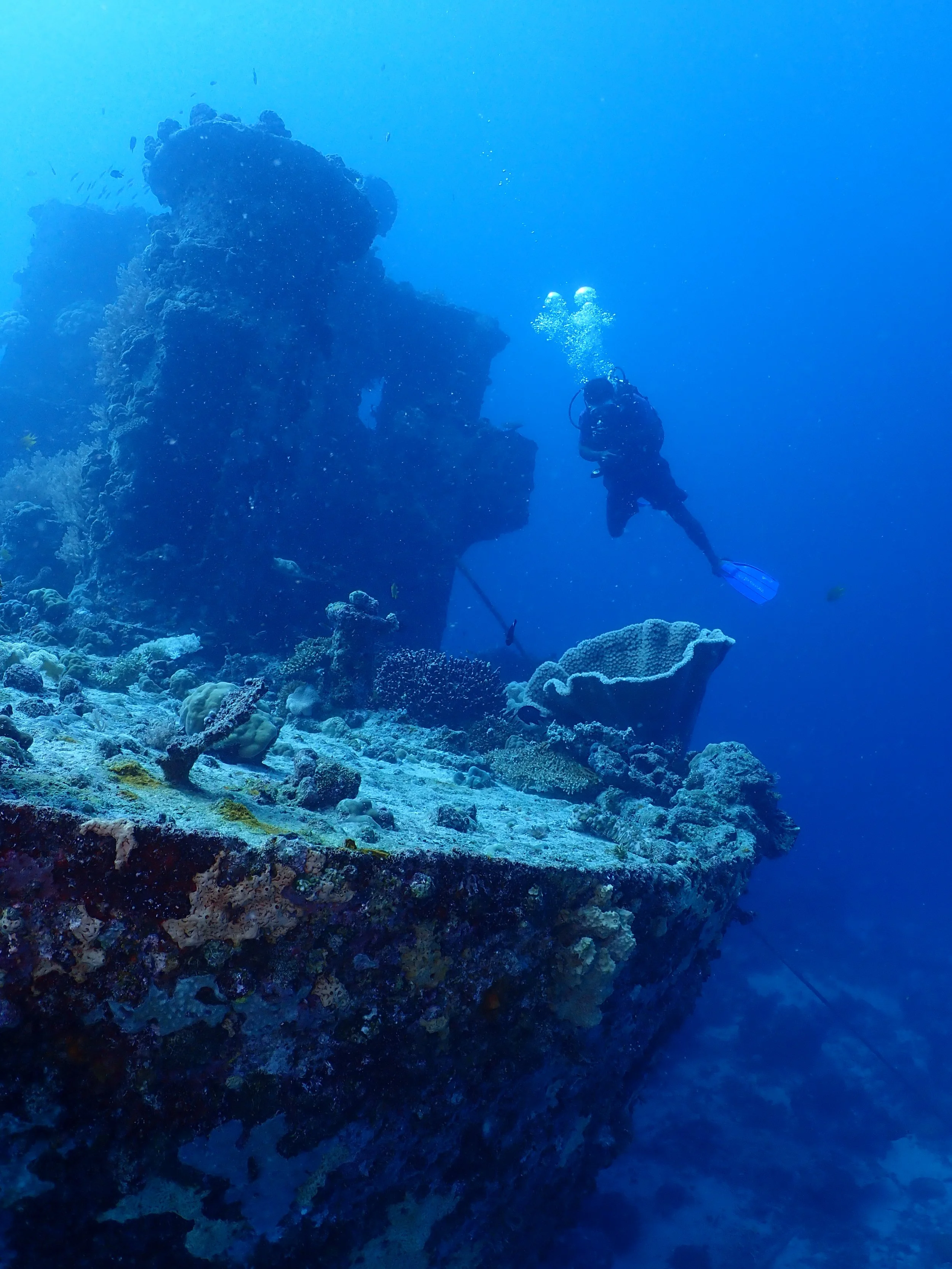 Atun Wreck 2 (1) (1).JPG