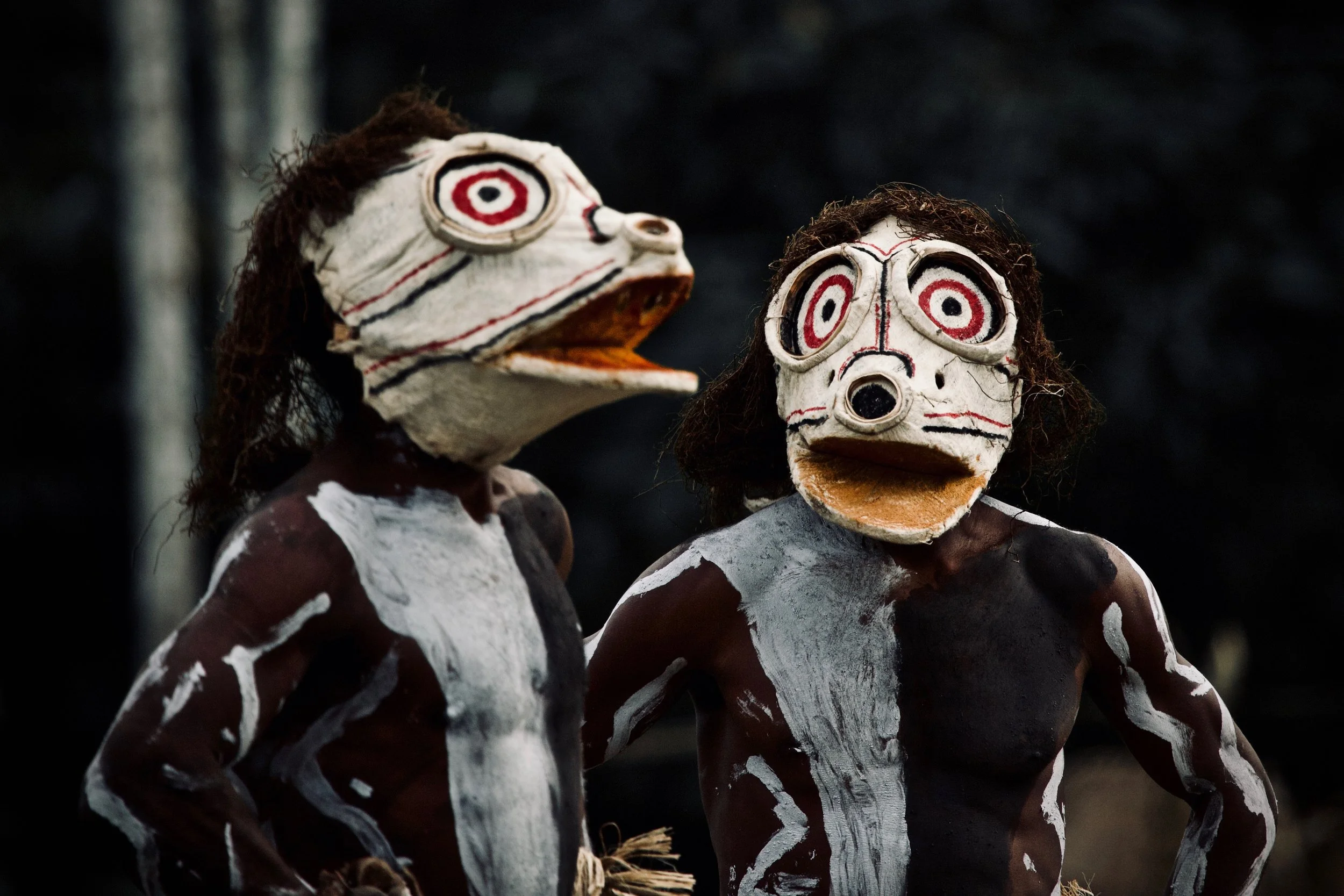 Portraits and candid moments of Papua New Guinea’s diverse cultures, featuring traditional dress, masks, and ceremonial performances.