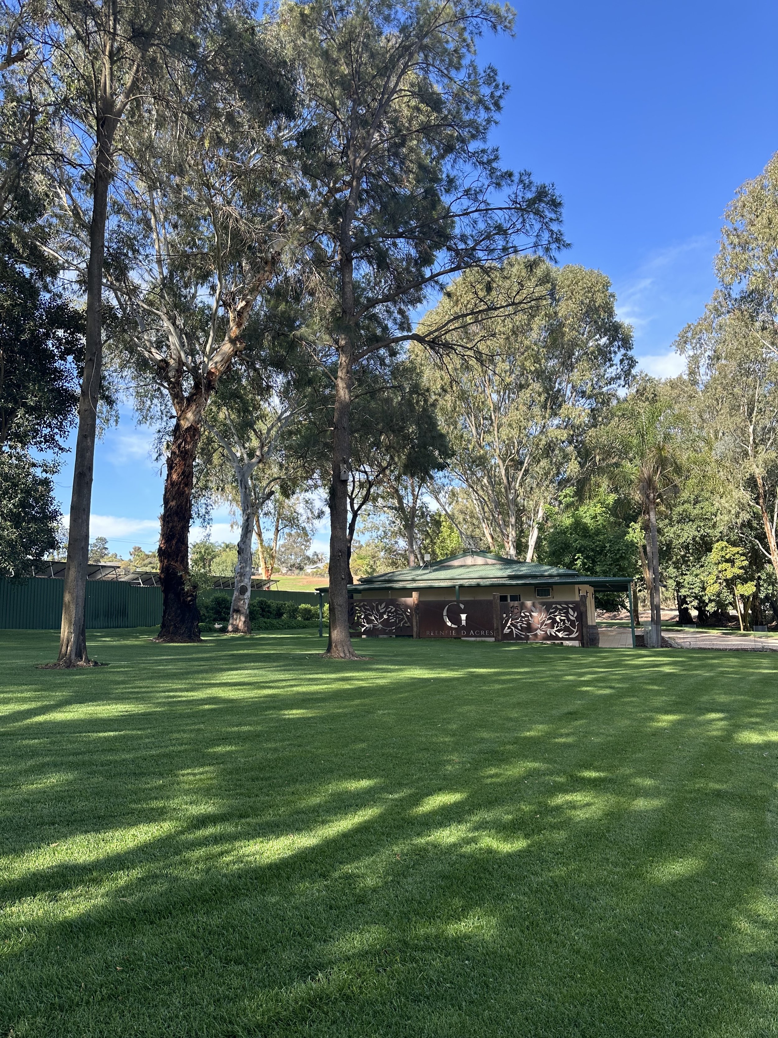 IMG_3643.jpeg