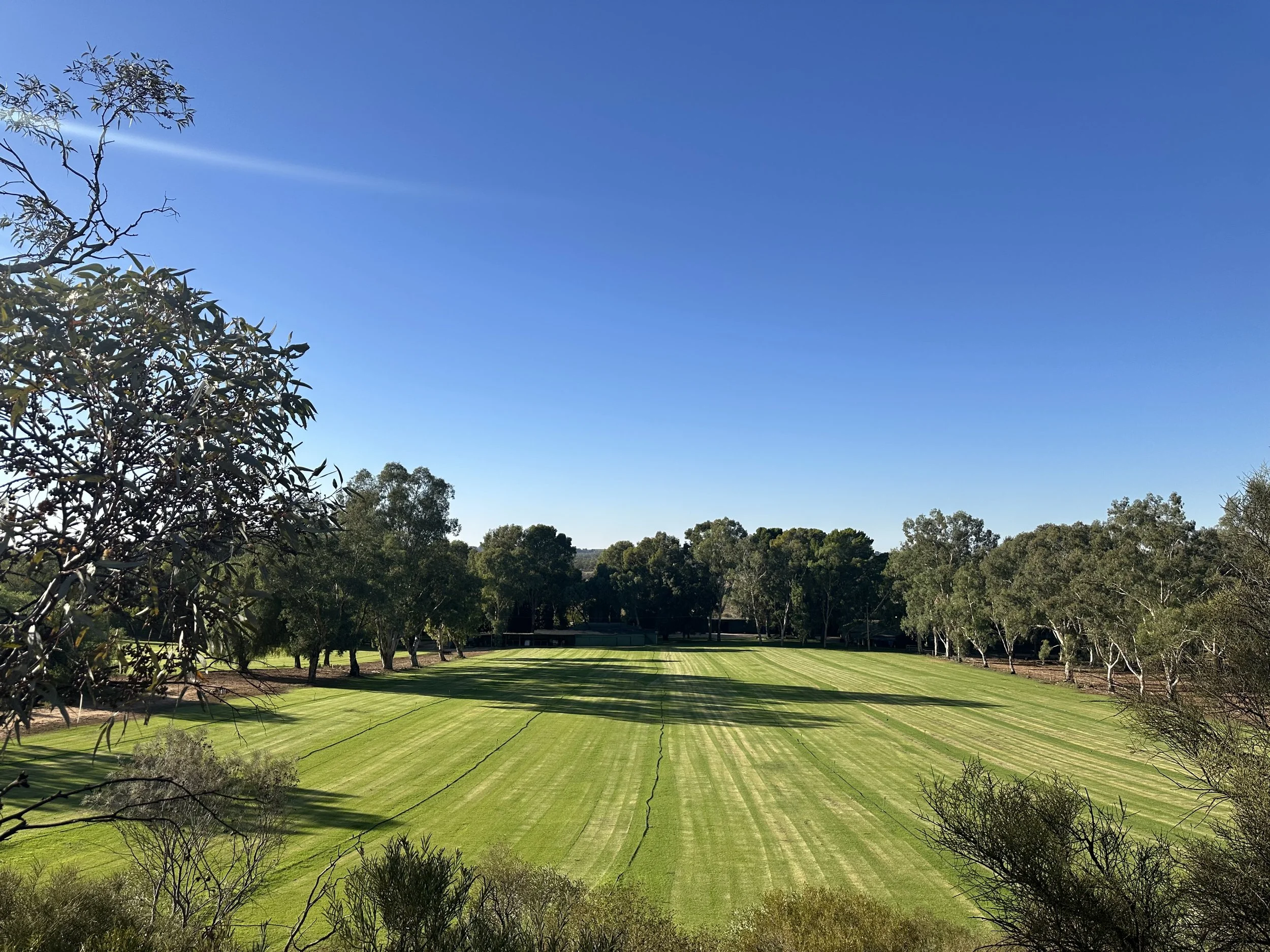 Greenfield Acres Riverland wedding venue with manicured lawns, established trees and gardens under a clear blue sky.