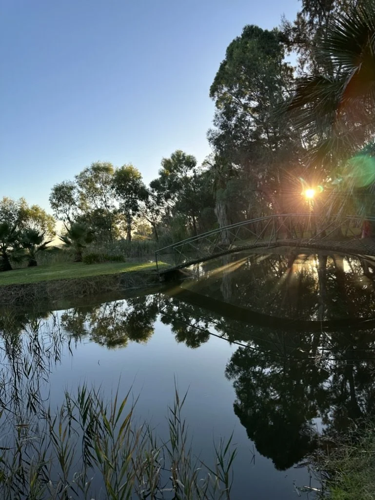 A peaceful scene of a small bridge over a narrow river or pond, surrounded by lush green trees and grass, with the sun setting behind the trees and reflecting on the water.