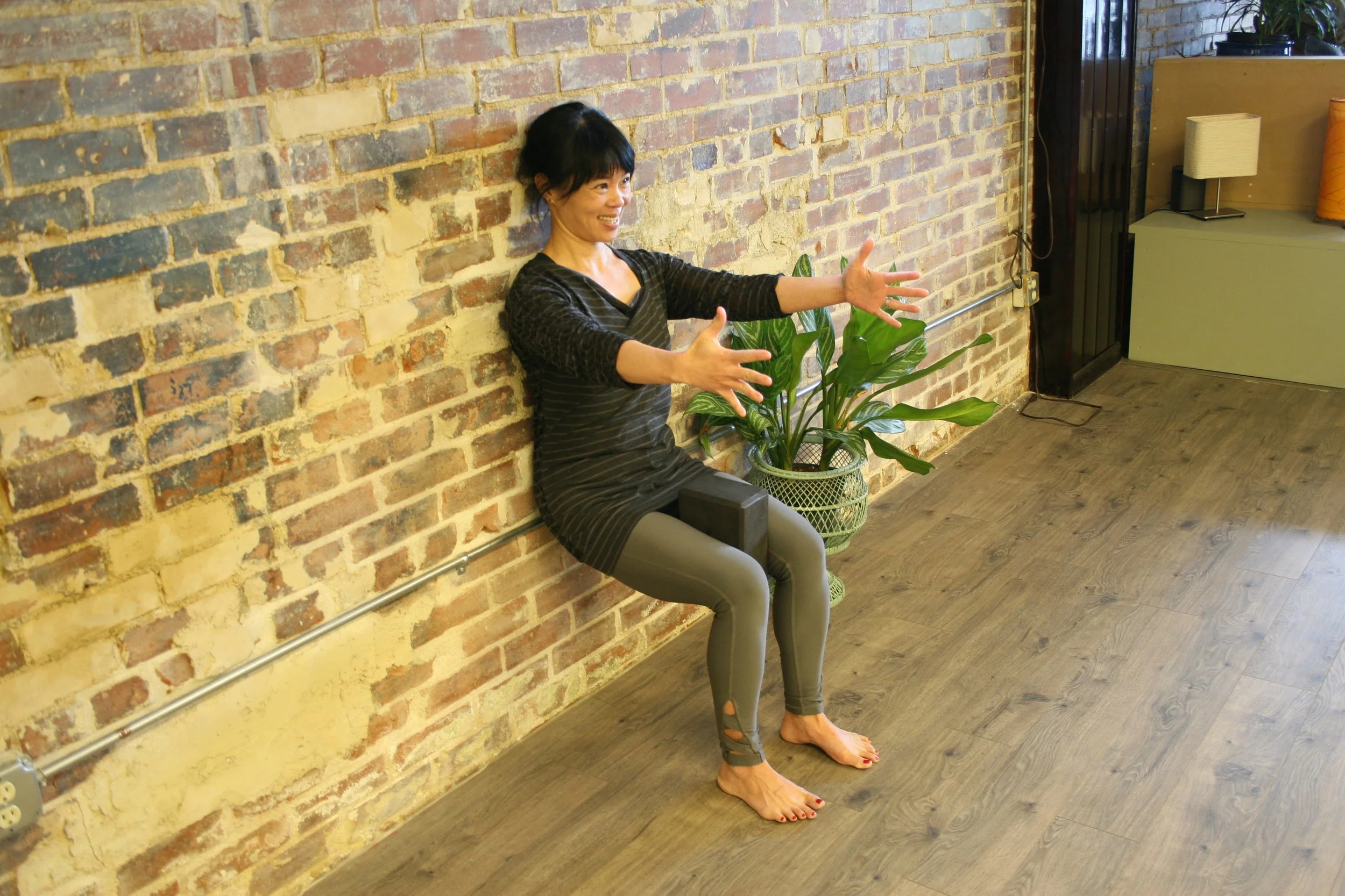 Pelvic Floor/Core Workshop