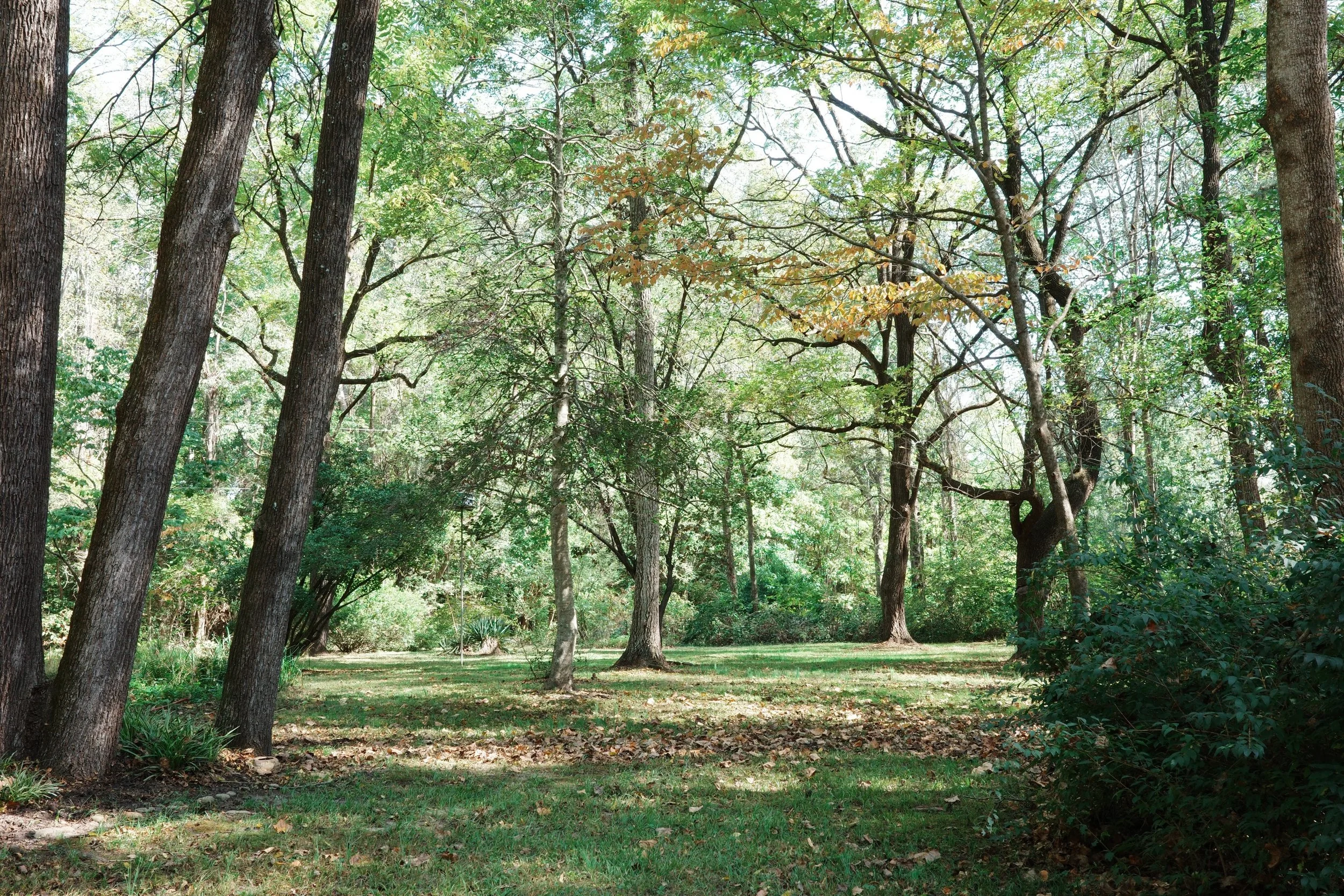 &ldquo;What a lovely tucked away place! 
You get a sense or serenity as soon as you pull in, the green moss in the yard and winding drive calls you to run to the door! 
We had a lovely stay with our pup and she enjoyed sniffing around, the yard is no