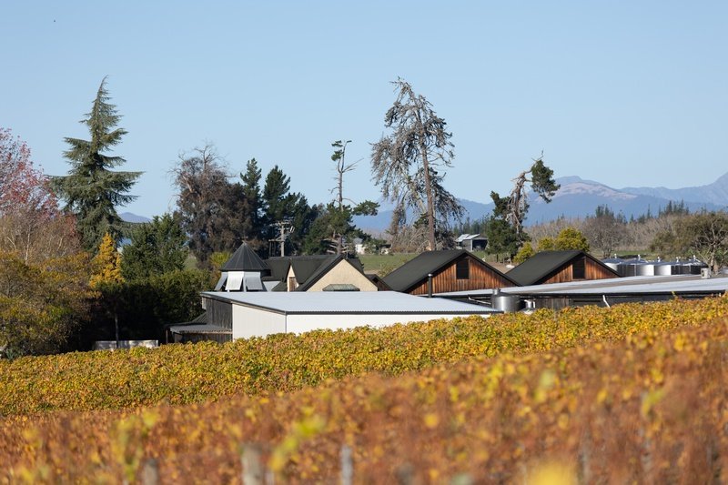 Heaphy Wines Storeroom-22_800px.jpg