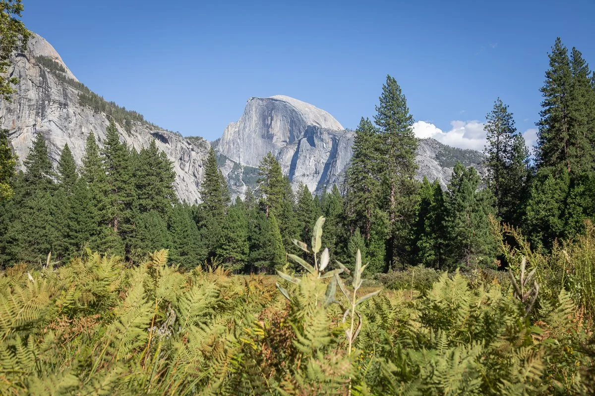 Yosemite