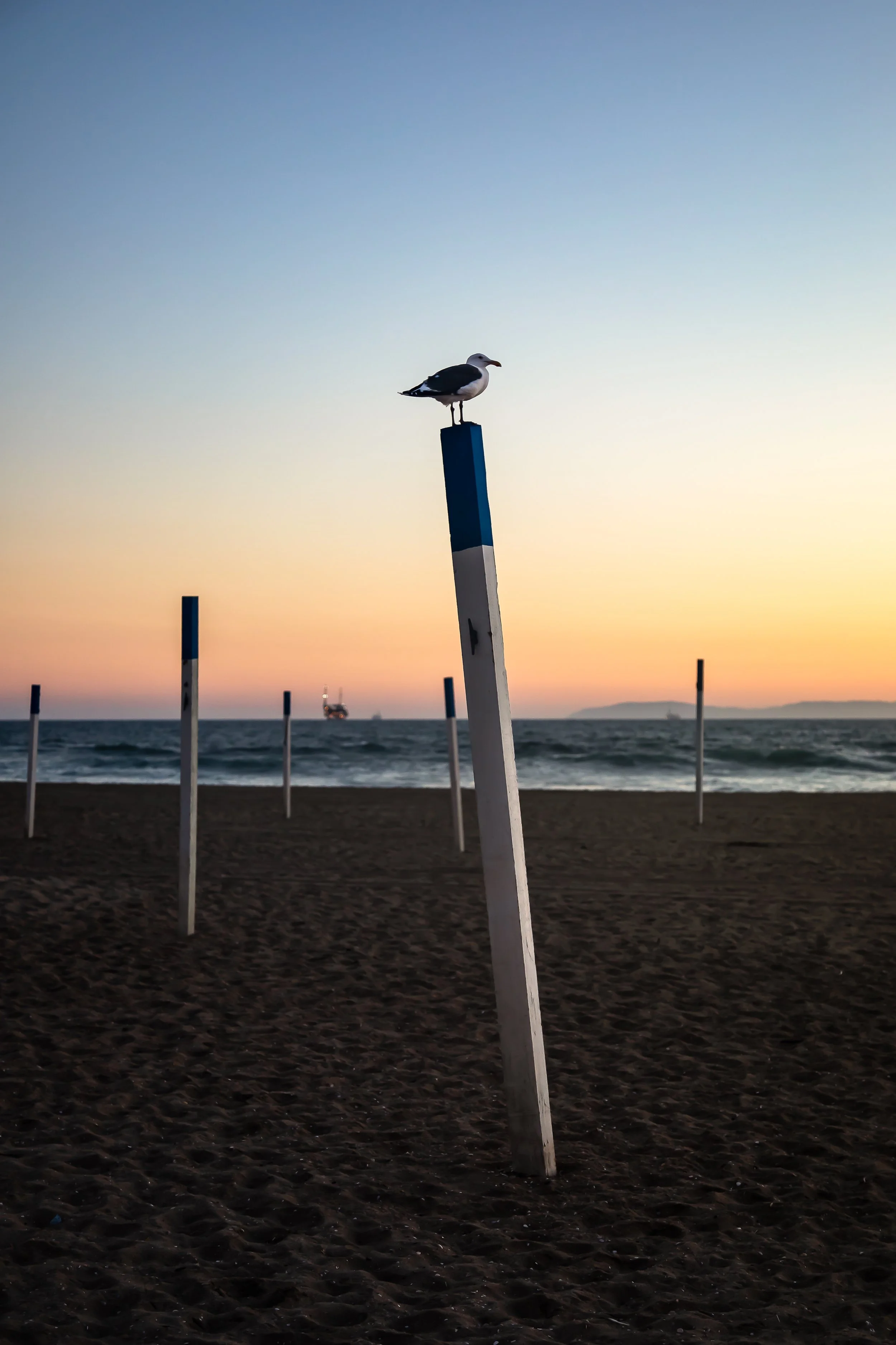 6B1A8873-Edit-2.jpg