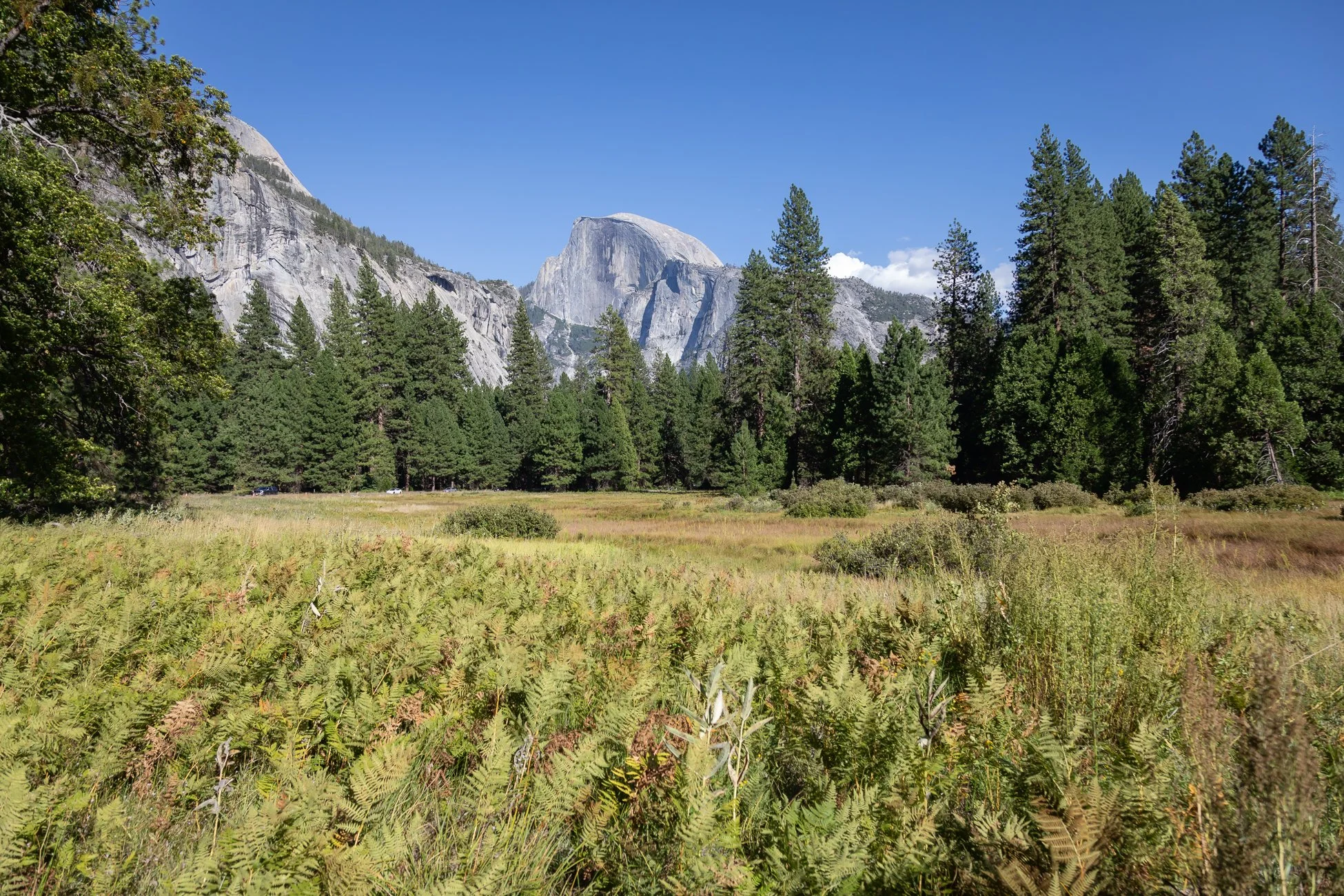 Half Dome 3.jpg