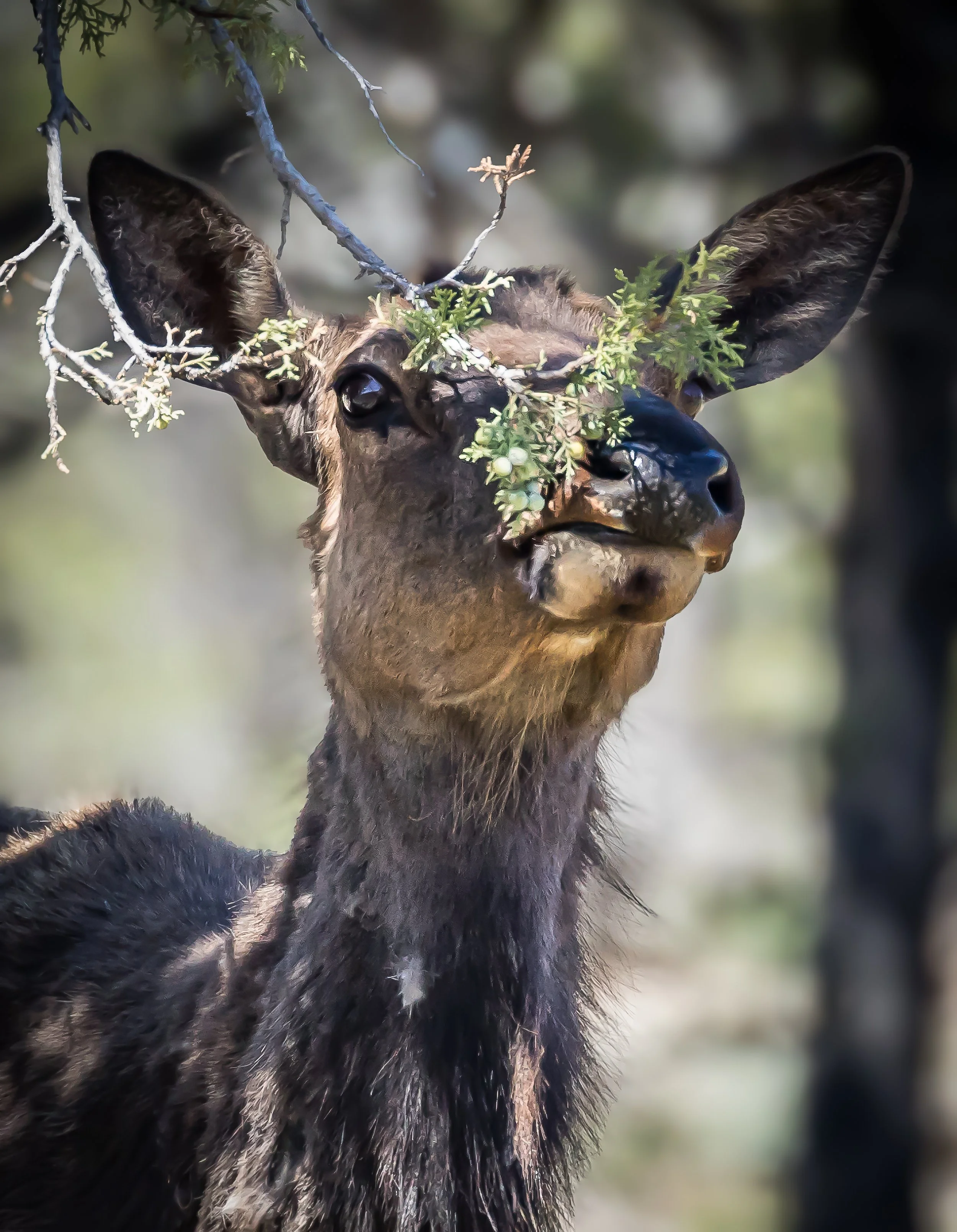 6B1A4148-Edit.jpg