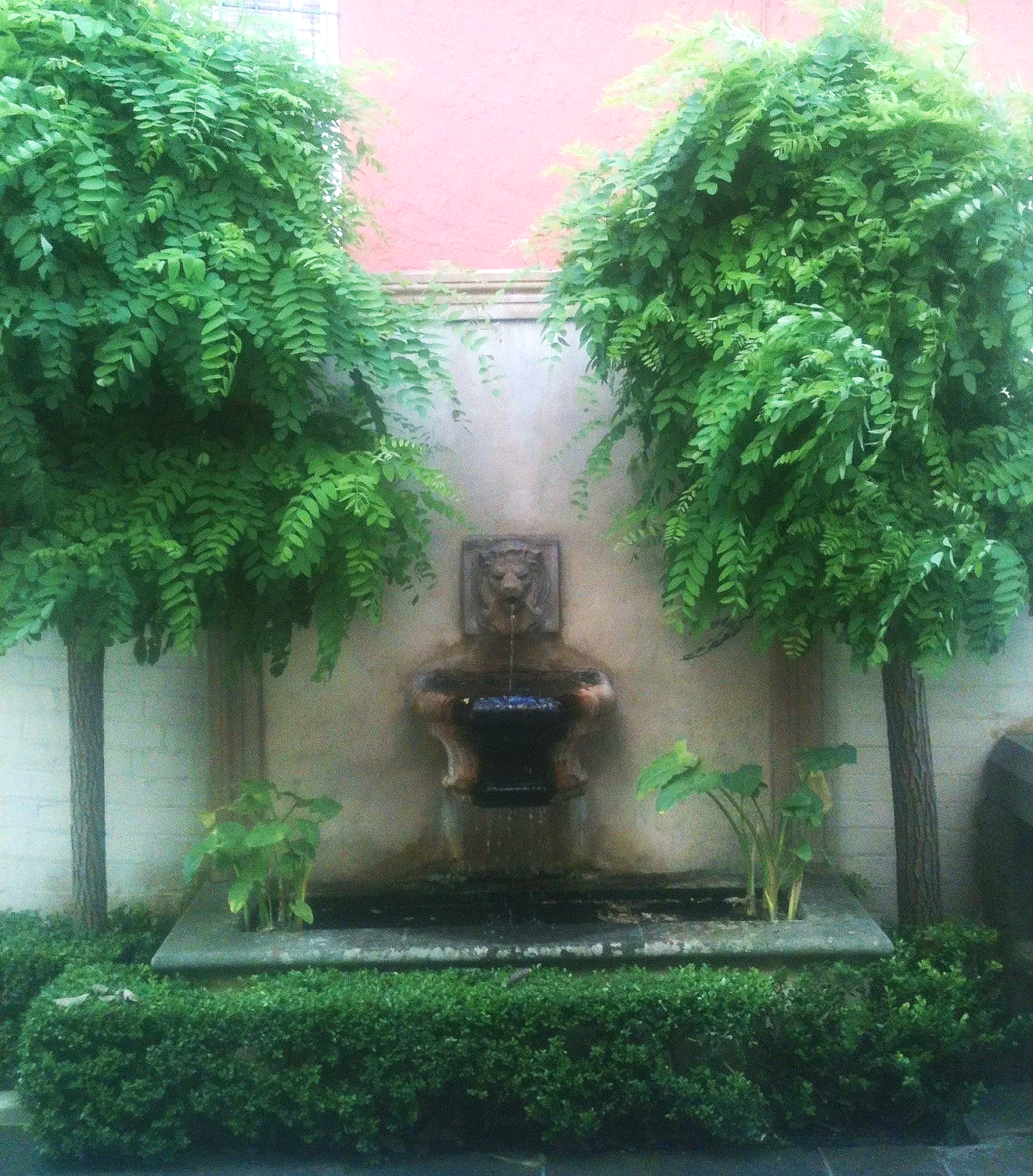 IMG_5398.png
