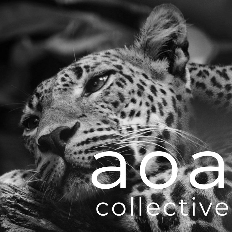 AOA+LOGOS-4+copy.jpg