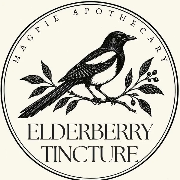 Elderberry Tincture, Herbal Extract with Glycerin, 2 & 4 fl. oz.