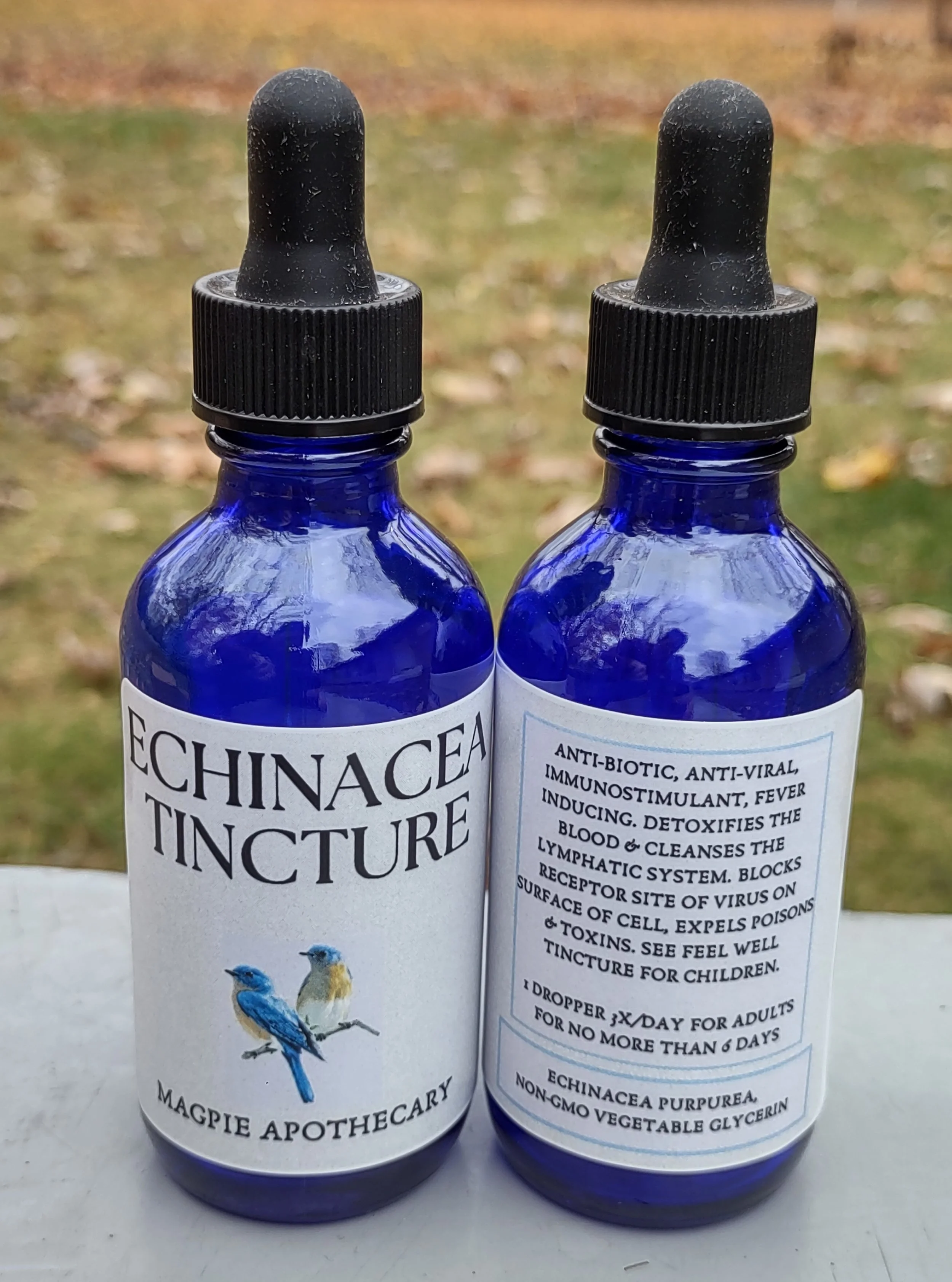 echinacea tincture picture.jpg